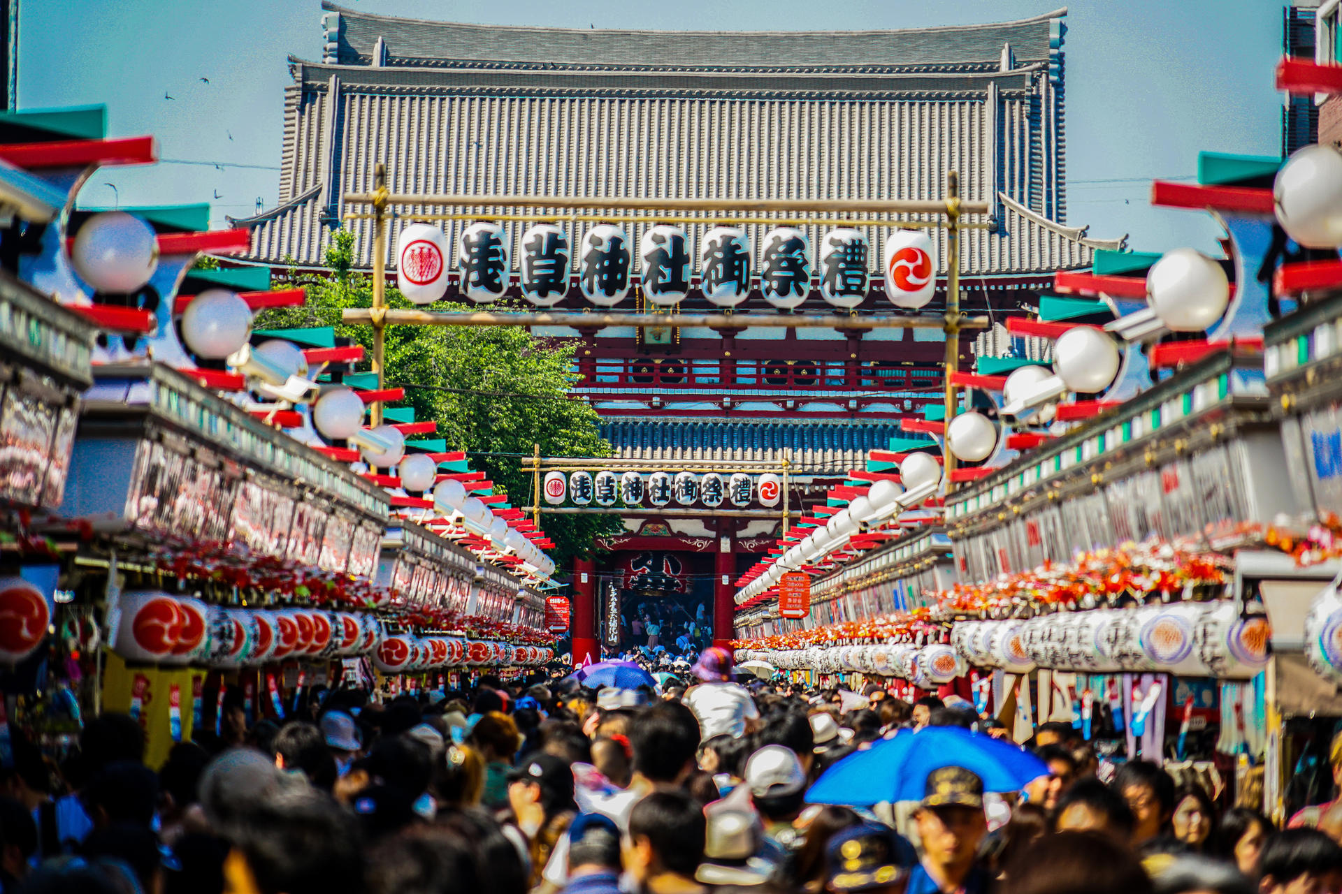 Asakusa, Kappabashi, and Ueno Walking Tour: Experience Tokyo's History and Culture in 3 Hours - Thumbnail 2