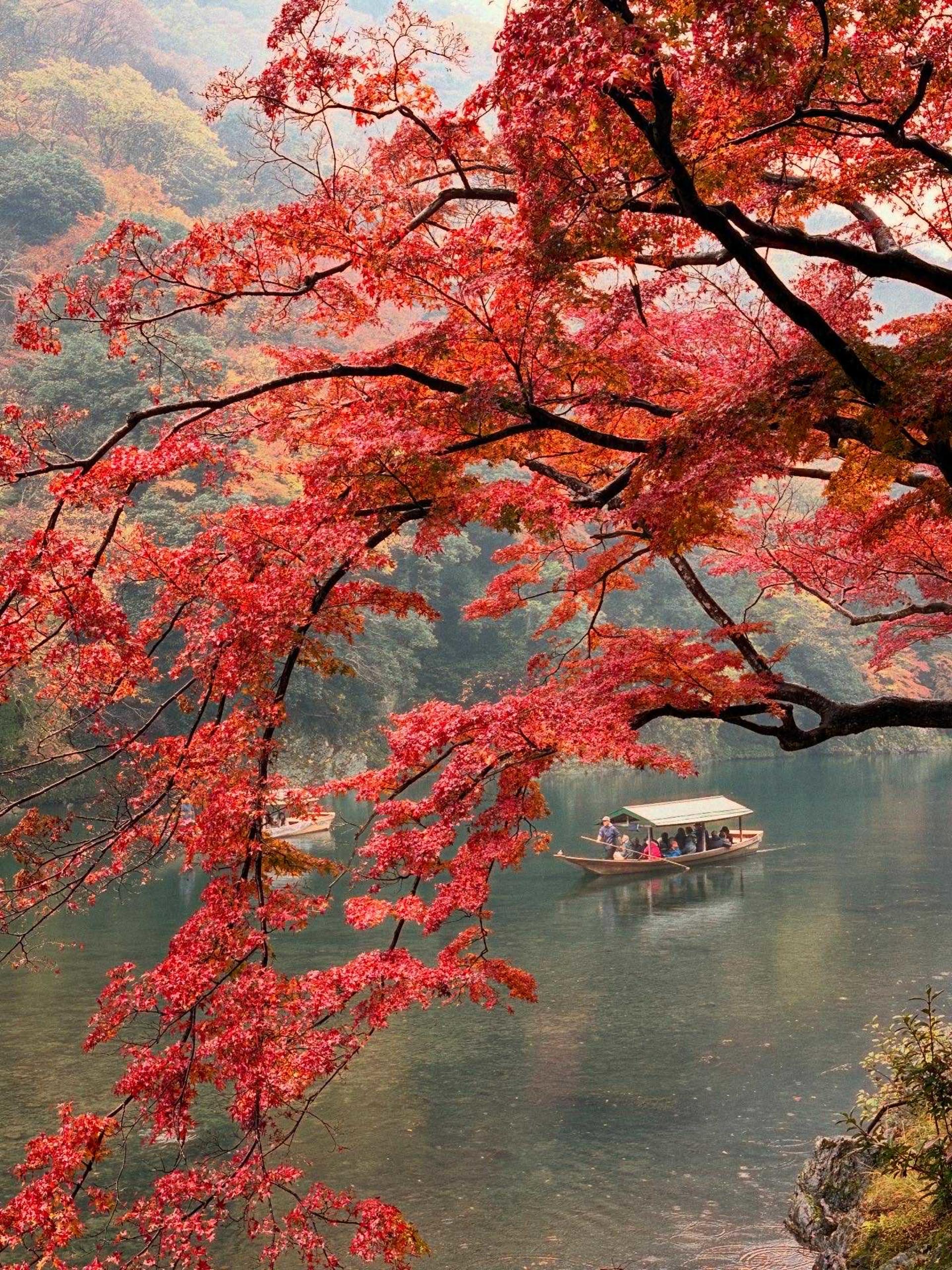 Kyoto Arashiyama Bamboo Forest Morning Private Cultural Tour - Thumbnail 9