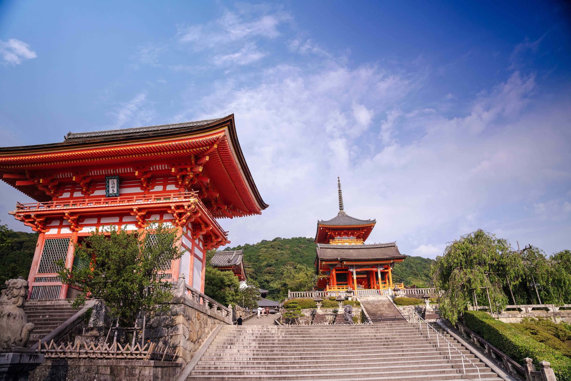 [Tasty Tours Japan]Kyoto Like a Local: Private Walking & E-Bike Tour - Image 1