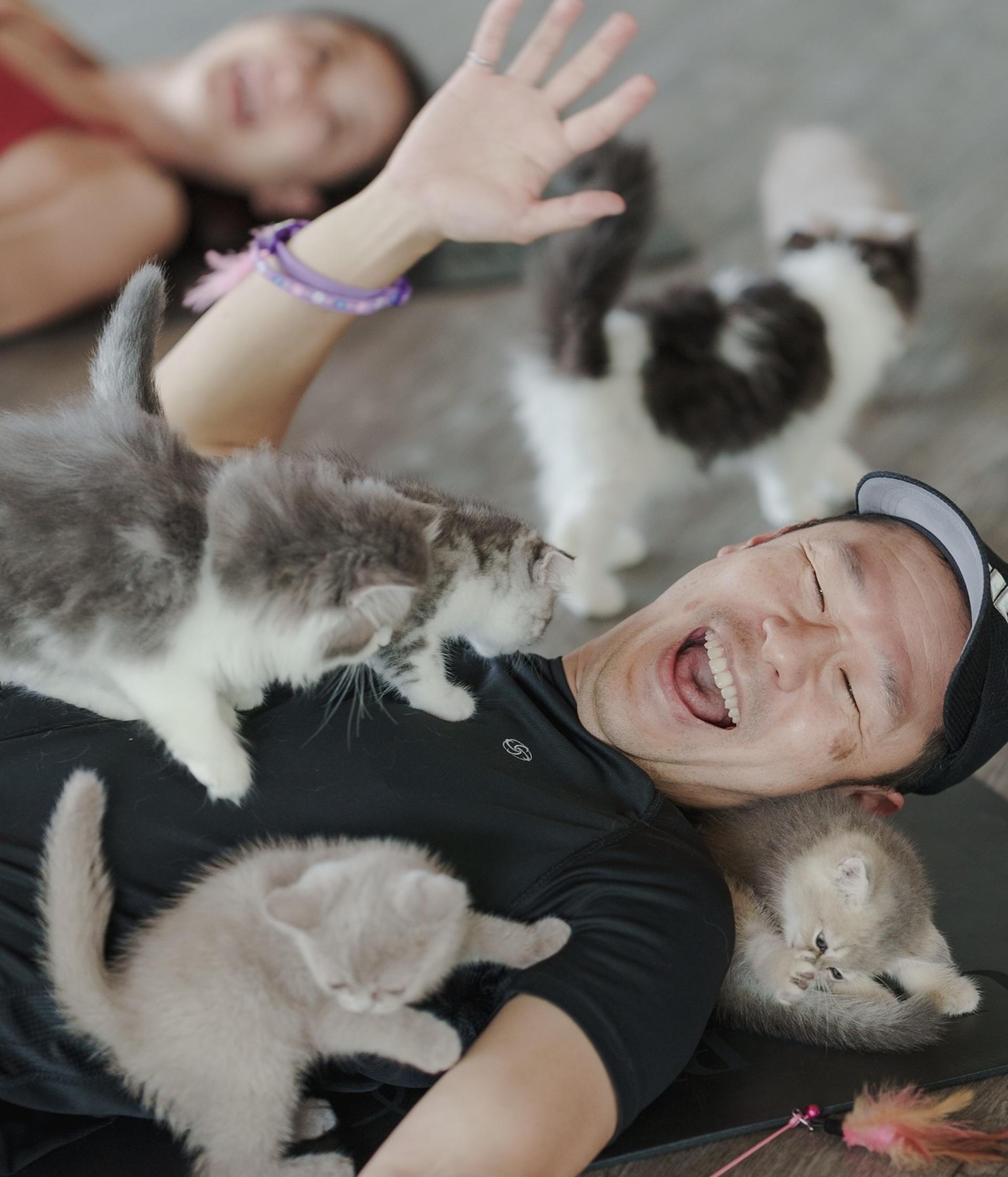 Puppy & Kitten Yoga Therapy with Photo Experience in Bangkok - Thumbnail 11
