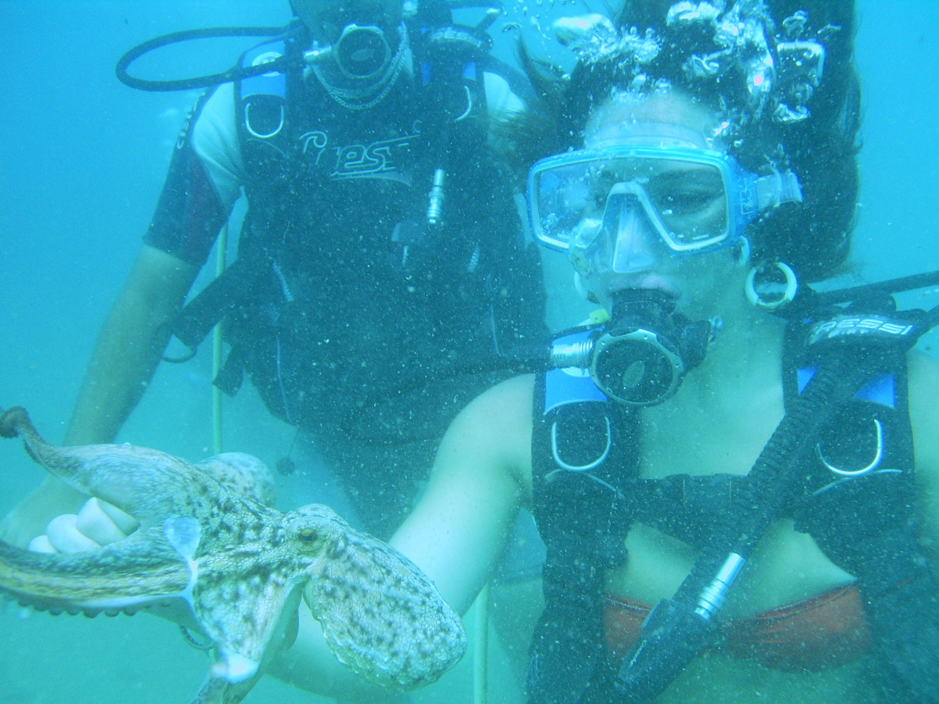 Alanya: Scuba Diving Tour With Lunch - Thumbnail 5