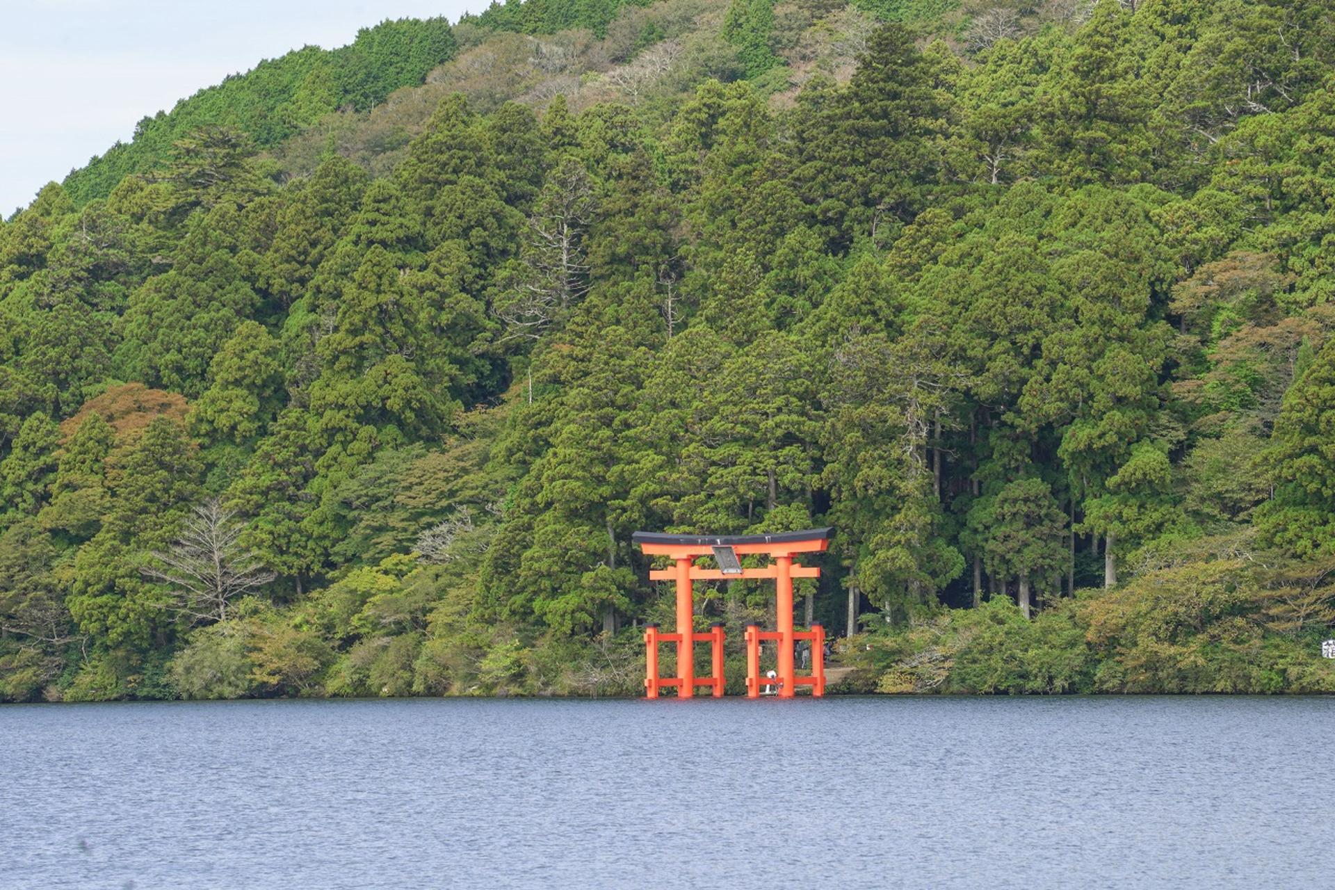Hakone Full Day Chartered Private Tour: Art & Nature - Thumbnail 47