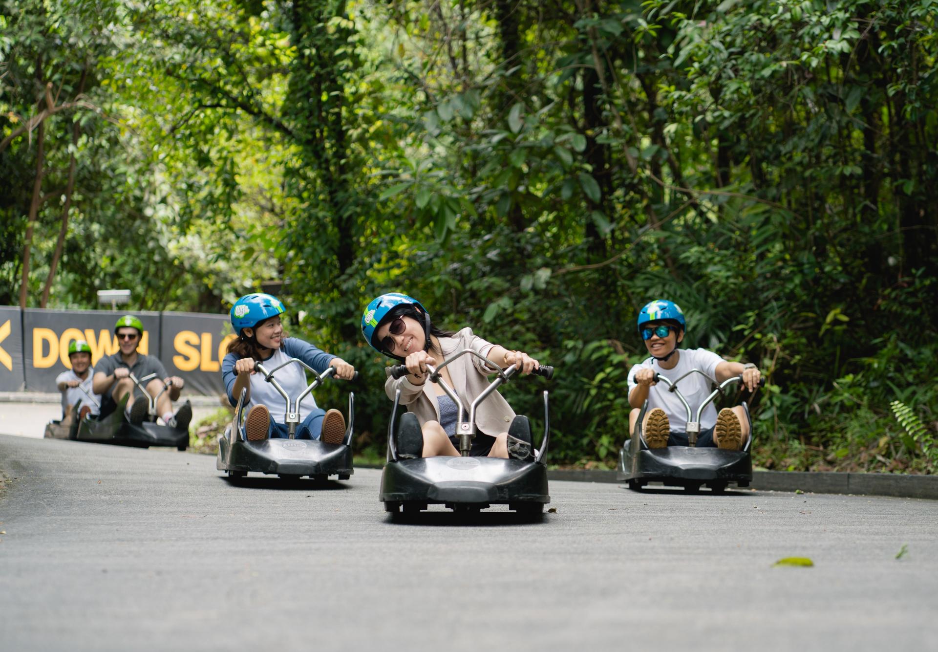 Skyline Luge Singapore Ticket - Image 1