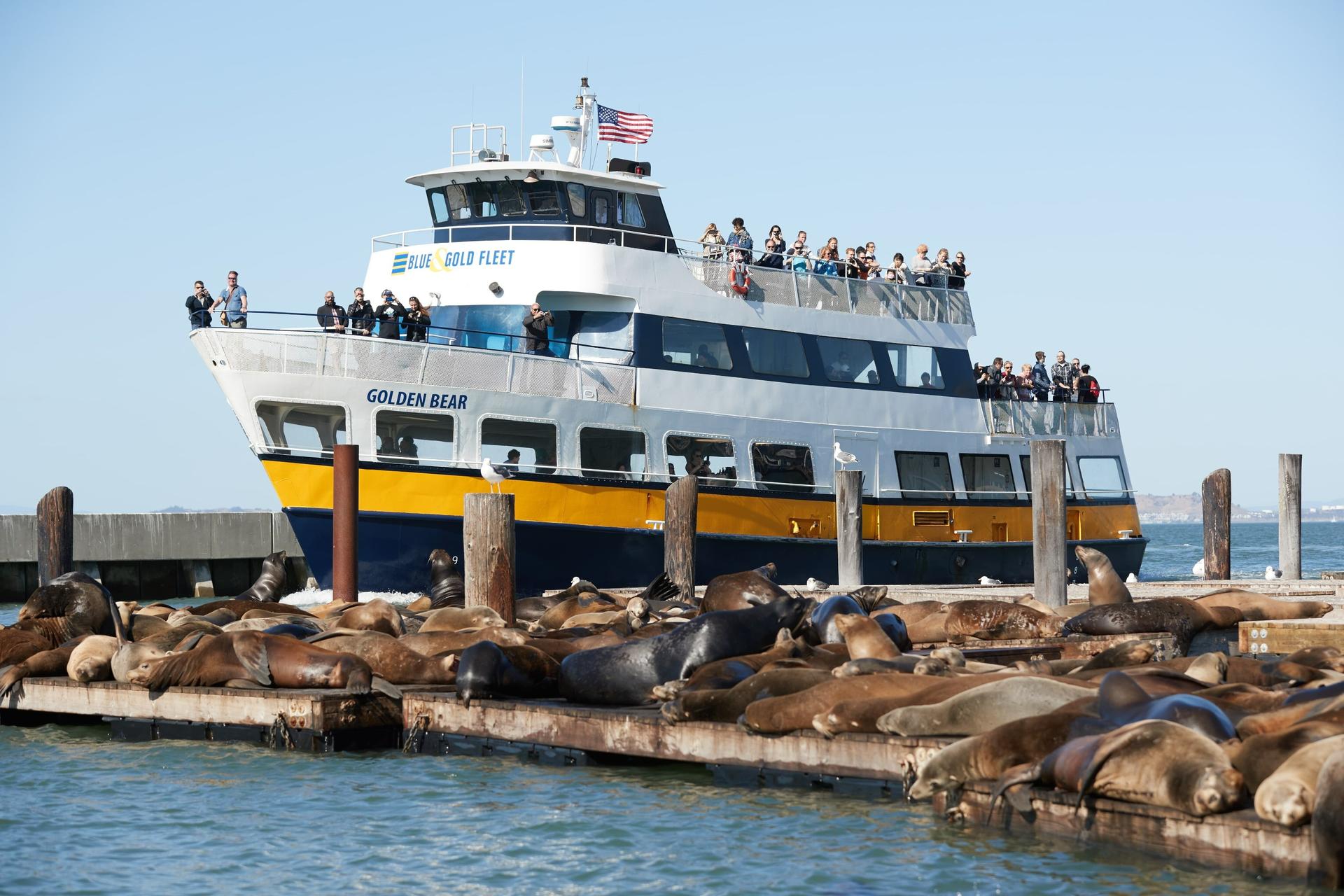 Alcatraz with San Francisco Bay Cruise Tour - Thumbnail 3