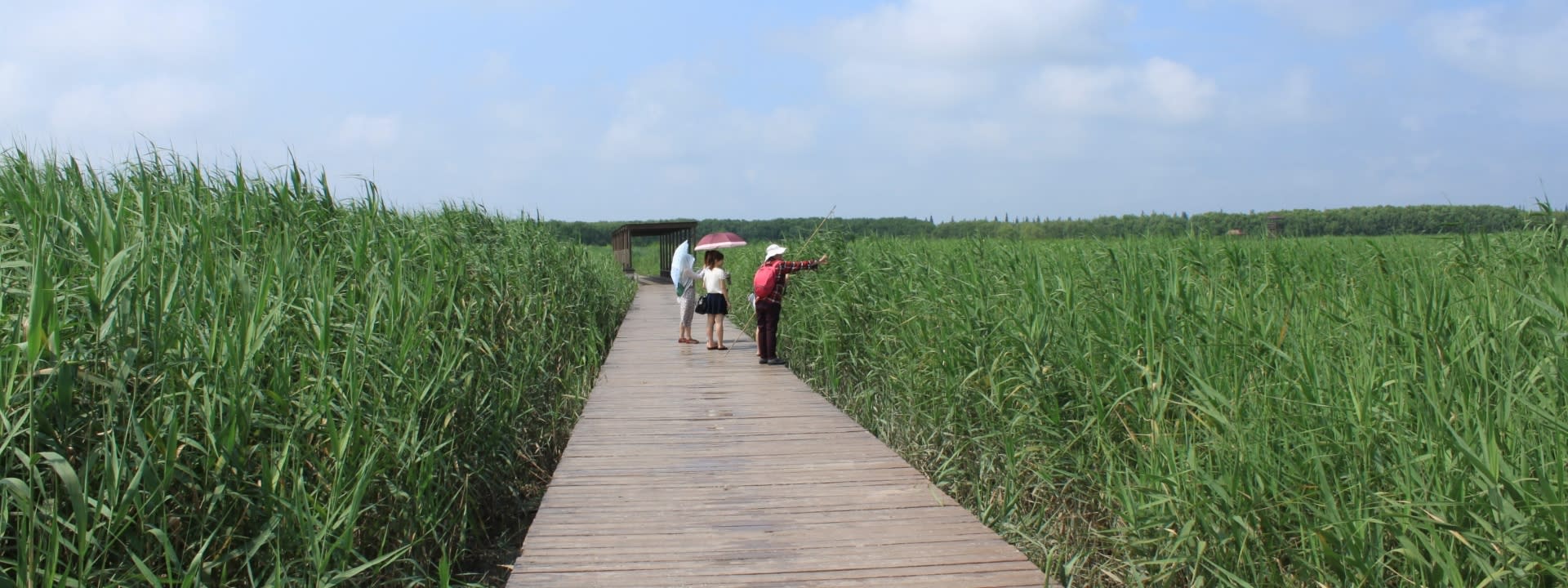 Chongming Island Whole Day Cycling Tour from Shanghai - Image 1