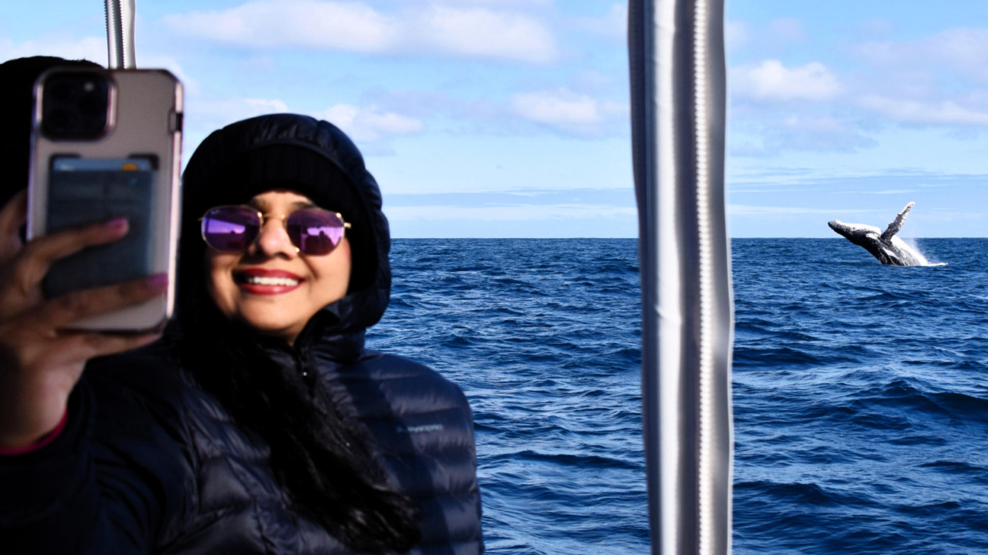 Whale Watching Experience from Perth - Thumbnail 4