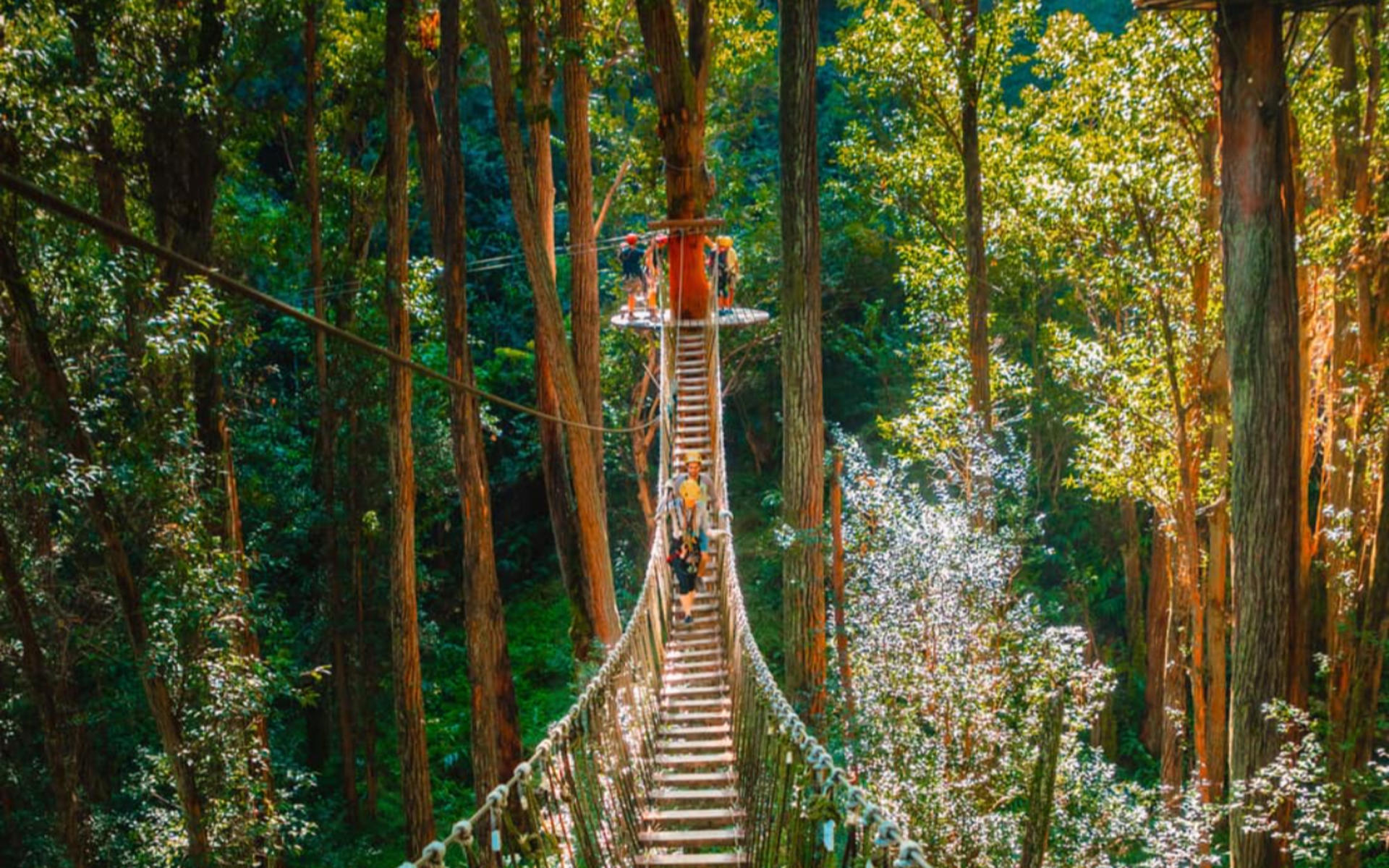 Kohala Canopy Adventure - Thumbnail 3