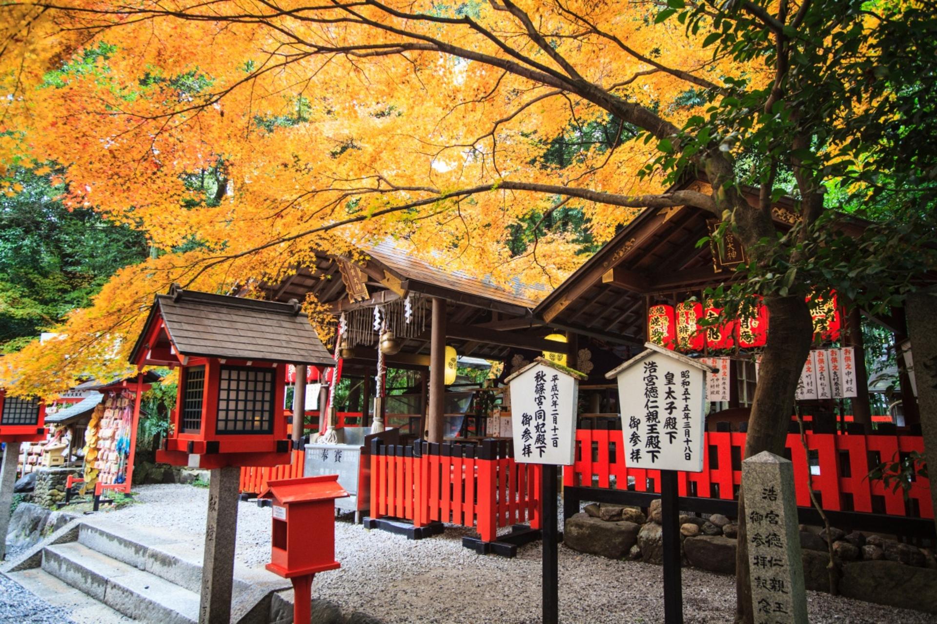 Kyoto Arashiyama, Nijo Castle, and Fushimi Inari One-Day Tour - Thumbnail 17