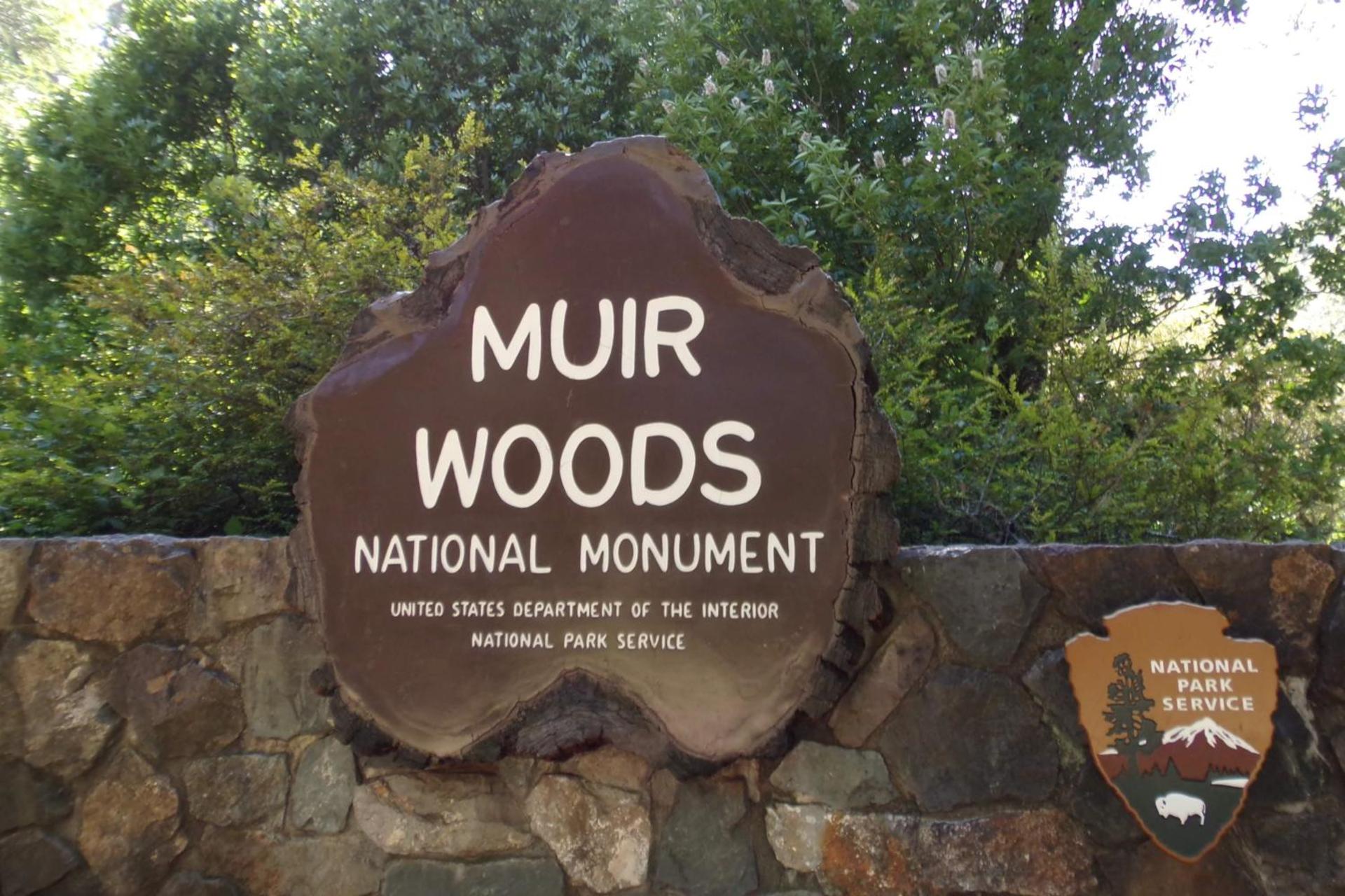 Alcatraz Island, Muir Woods, and Sausalito Join In Tour - Thumbnail 10