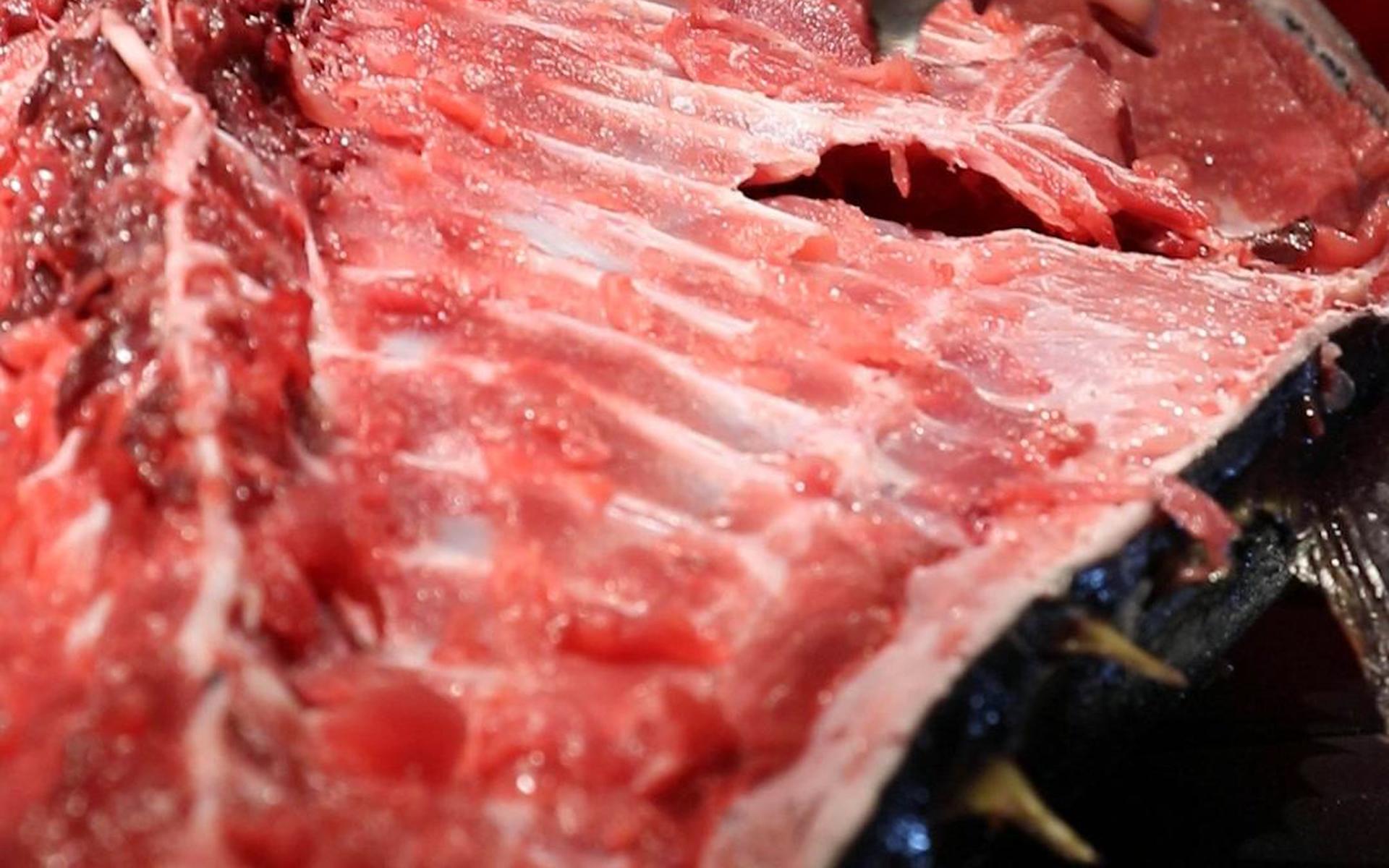 Tokyo: Tuna Cutting Show with Unlimited Sushi & Drinks - Thumbnail 62