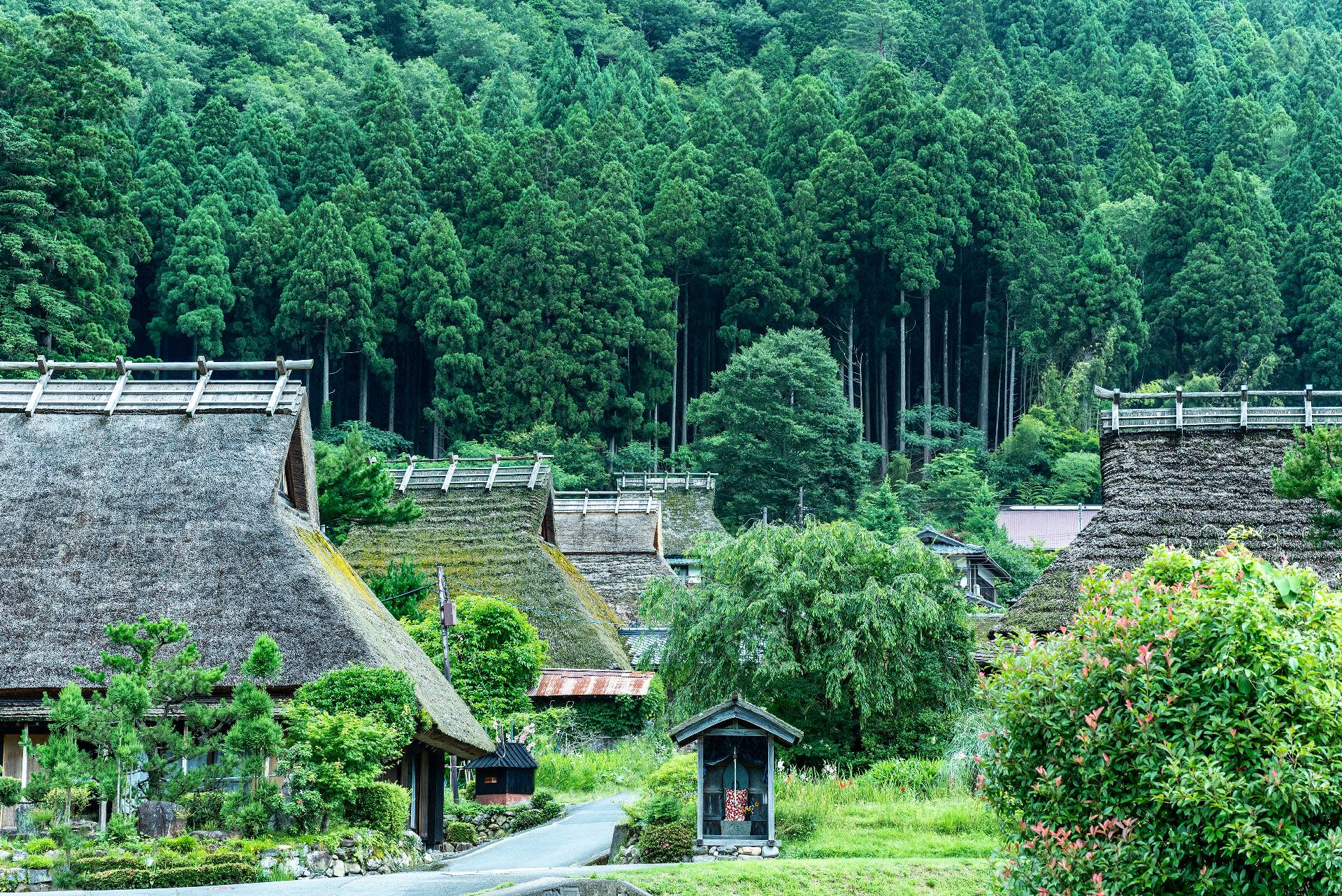 Day Trip to Amanohashidate & Ine no Funaya & Miyama Thatched Village in the Sea of Kyoto (Departure from Osaka or Kyoto) - Thumbnail 33