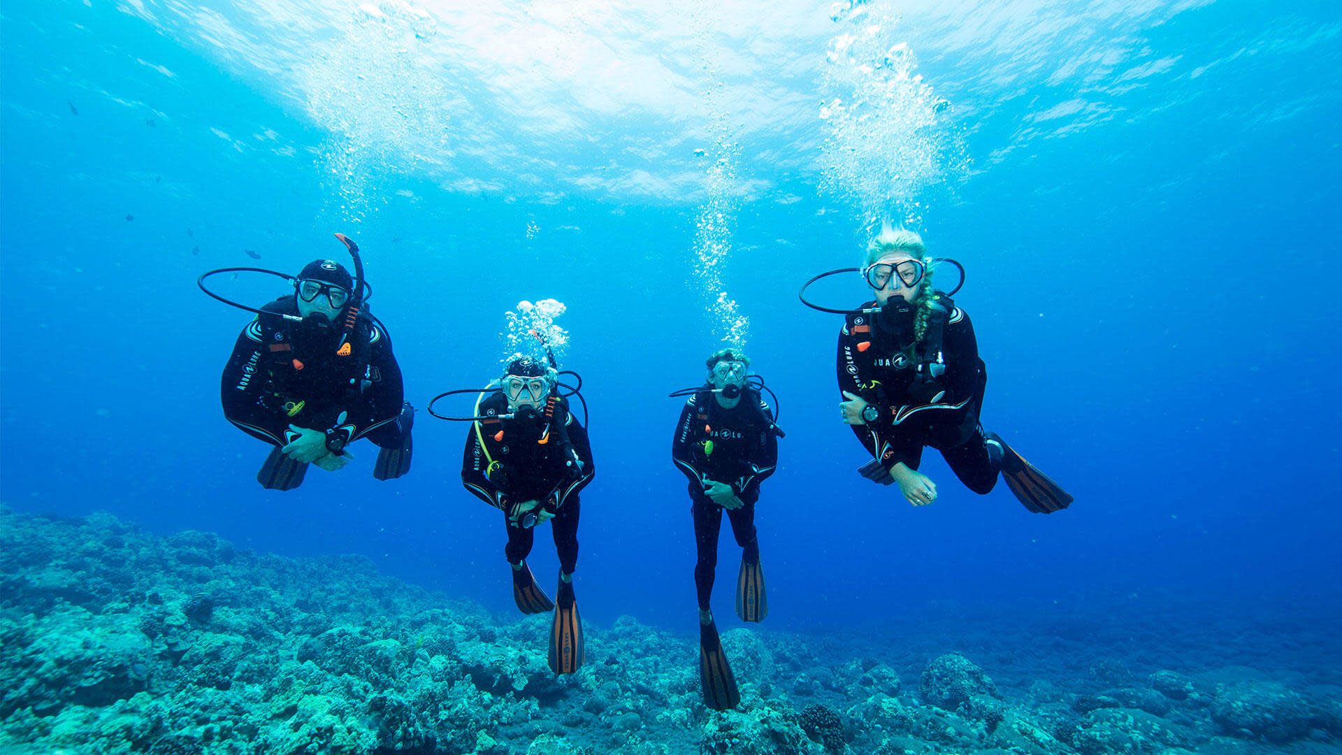 Scuba Diving in Fethiye with Lunch & Roundtrip Transfer  - Thumbnail 11