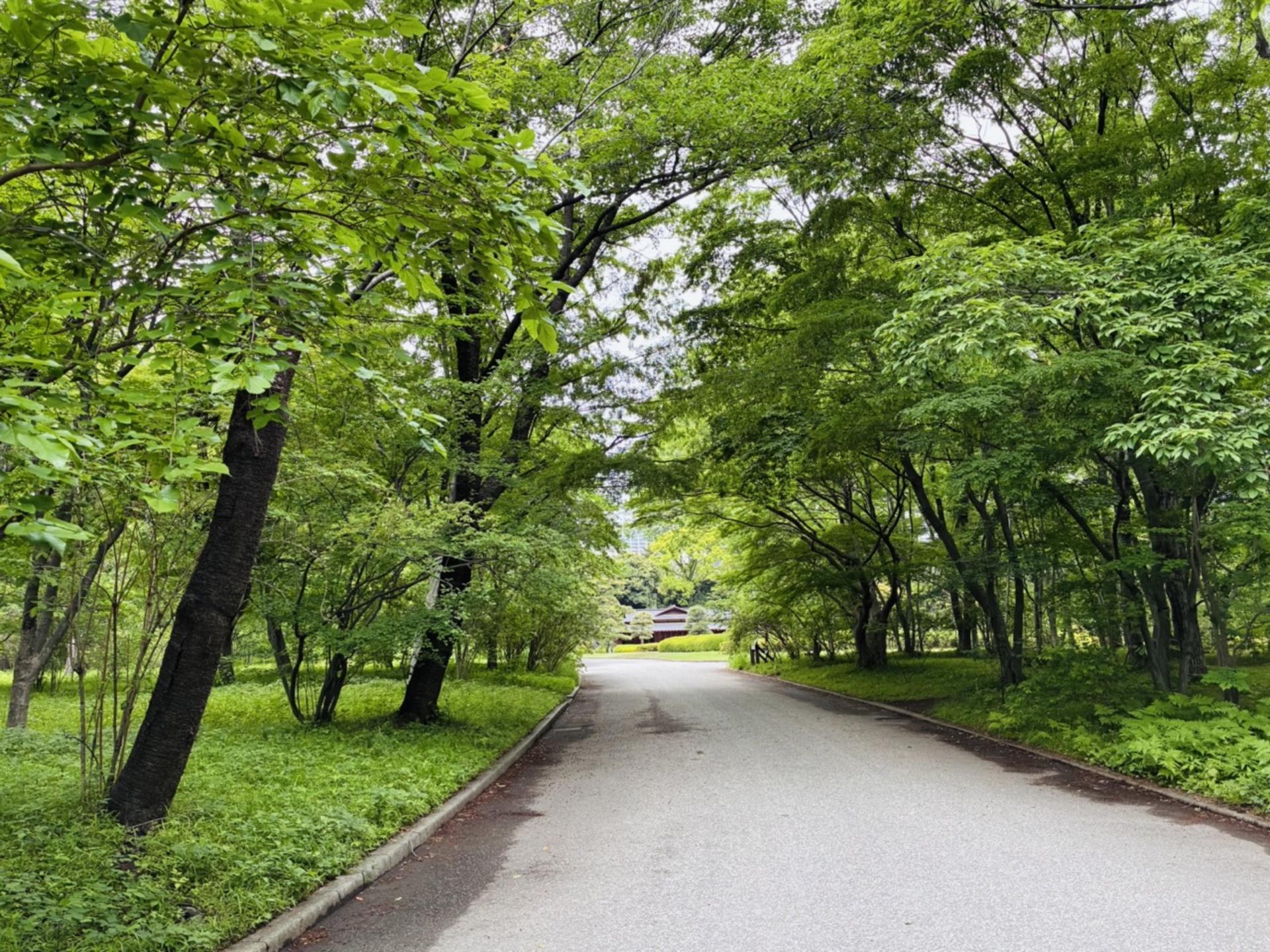 Tokyo: Imperial Palace & Shogun Castle Walking Tour - Thumbnail 20