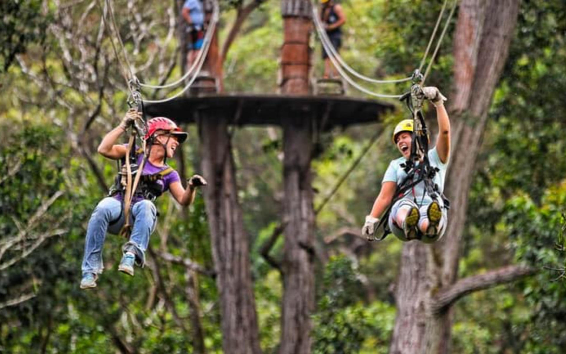 Kohala Canopy Adventure - Image 1