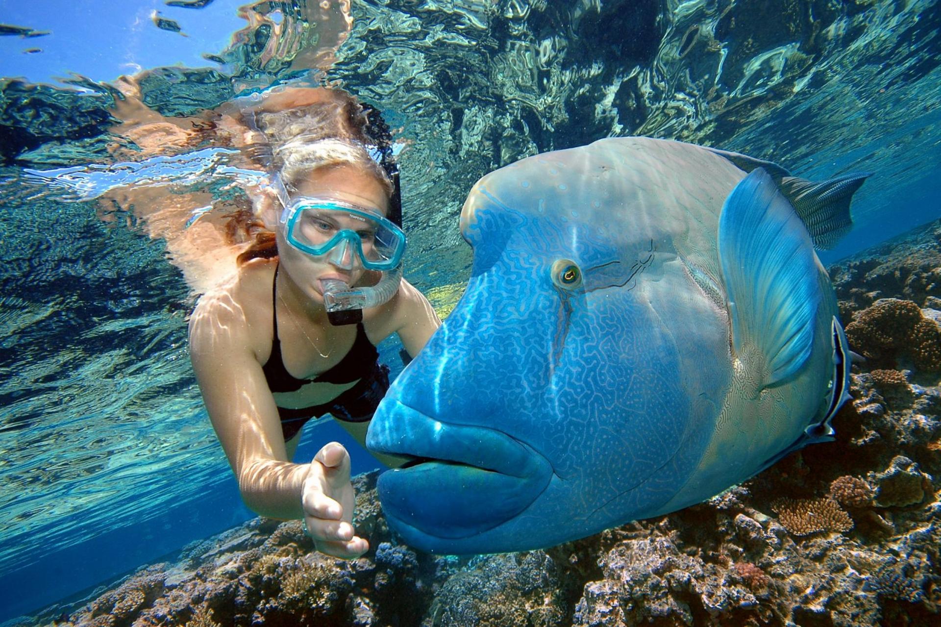Reef Magic Pontoon Cruise Tour from Cairns - Thumbnail 9