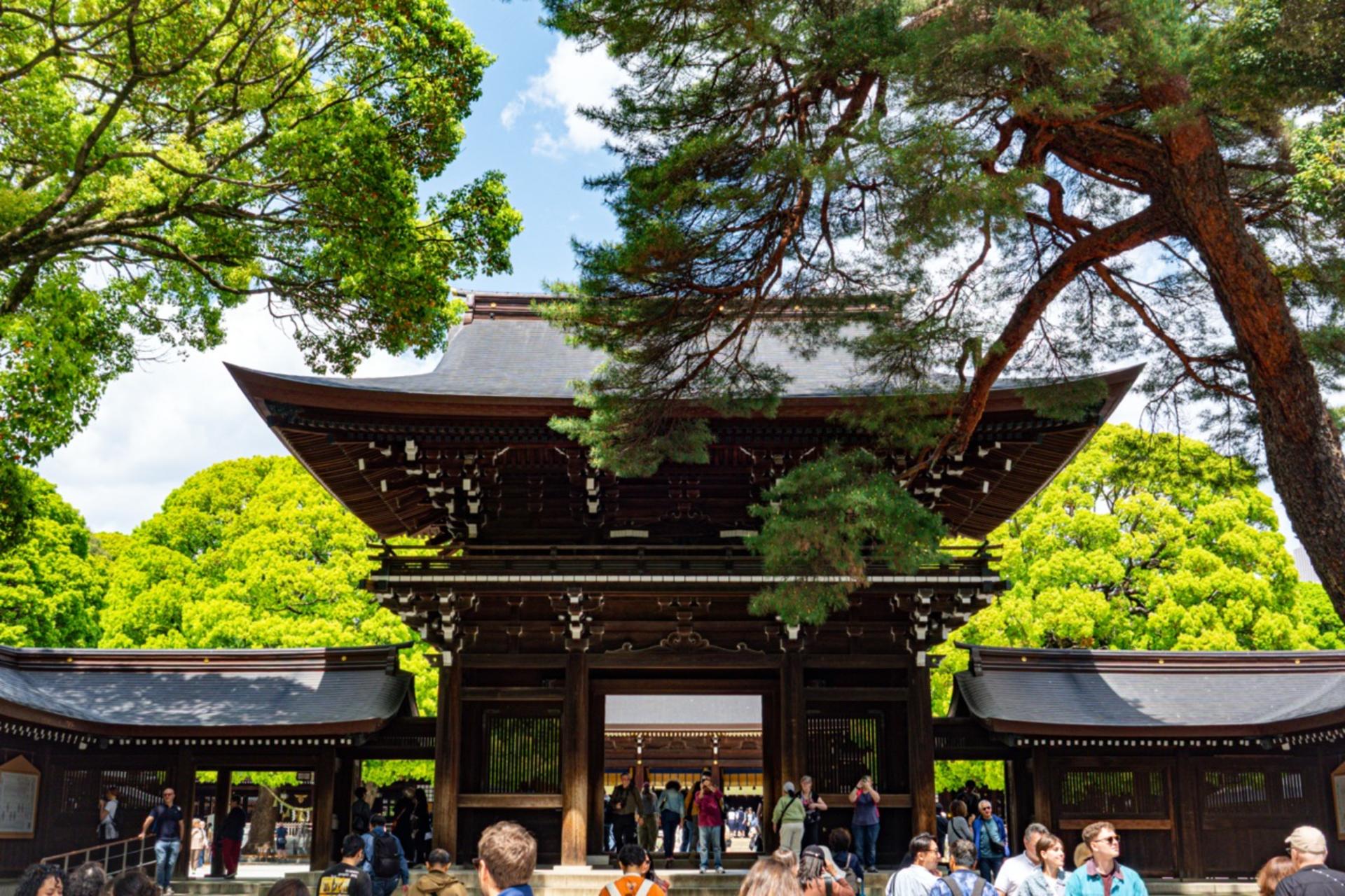 Tokyo: Meiji Shrine & Shinto Culture Walking Tour - Thumbnail 21