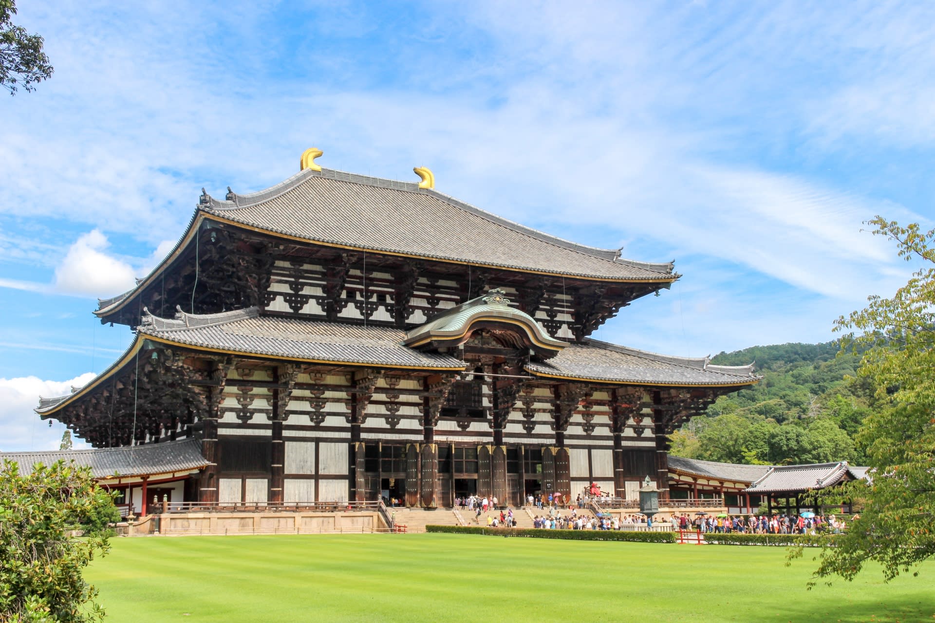 Kyoto Fushimi Inari Shrine Senbon Torii & Arashiyama Bamboo Forest Togetsukyo Bridge & Nara Park Todai-ji Temple Day Tour [A5 Black Wagyu "Kobe Beef" Upgrade Available (Osaka/Kyoto Departure)] - Thumbnail 5