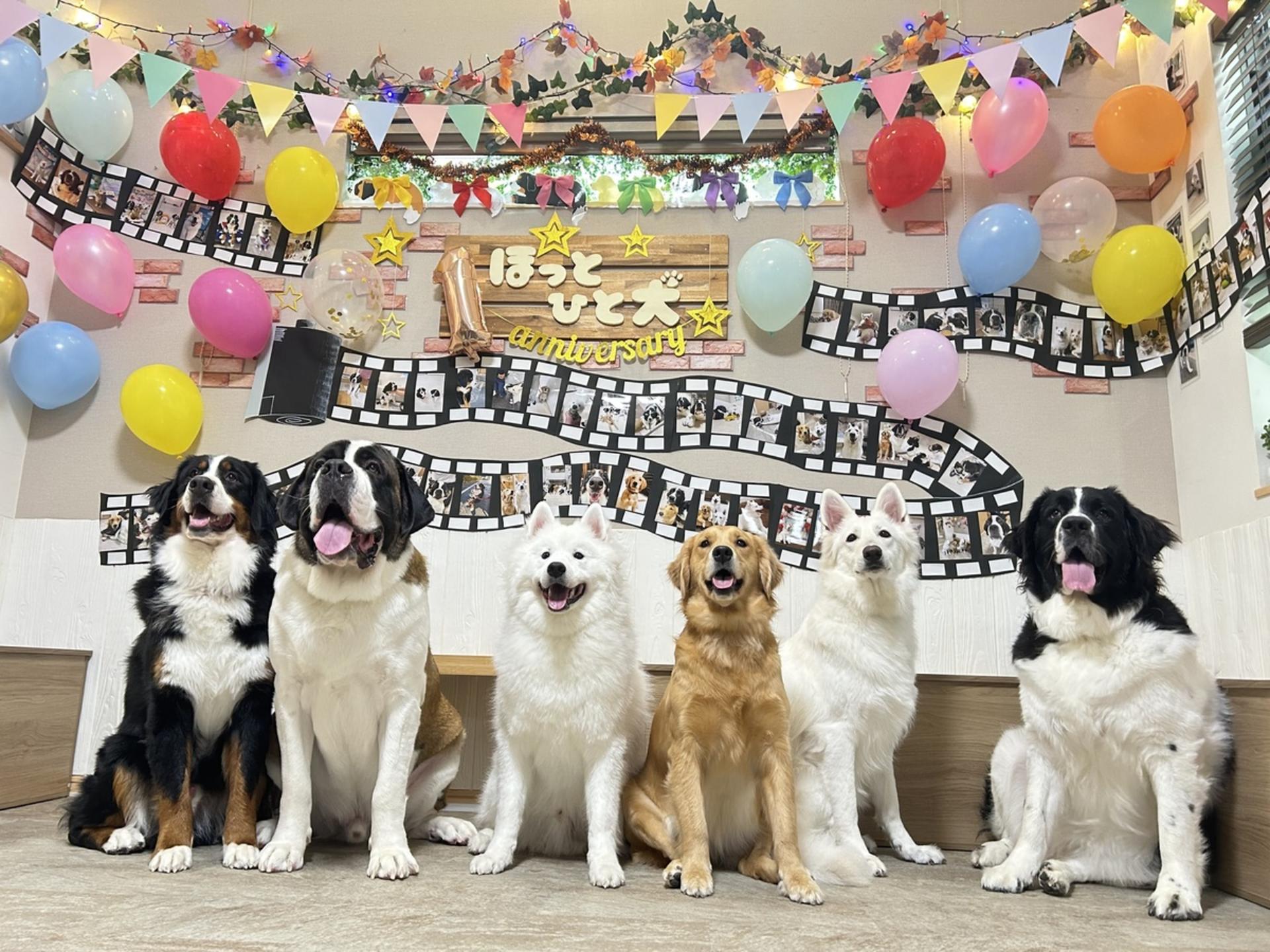 Large Dog interaction experience in Tokyo【Hotto Hito Inu】 - Image 1