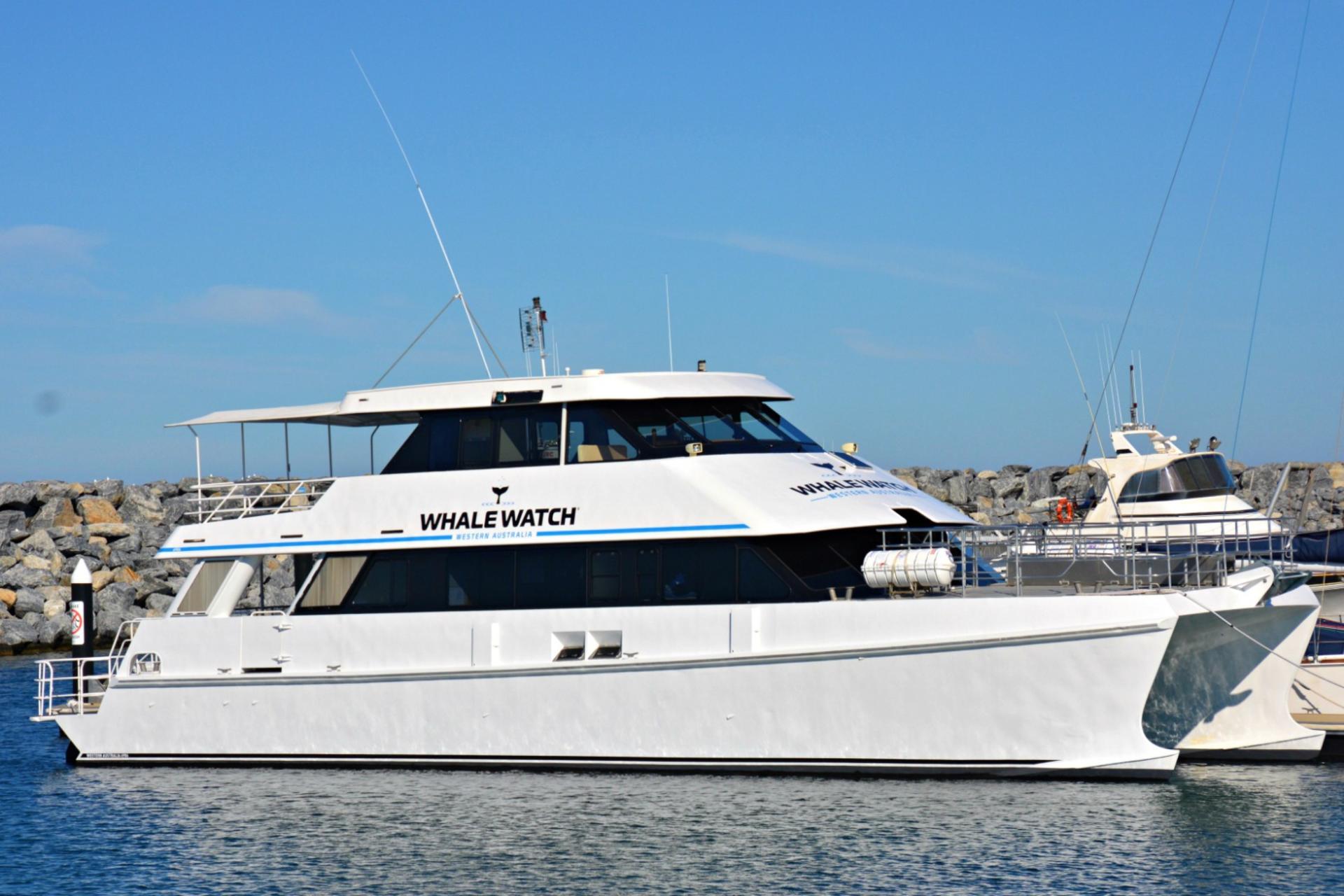 Whale Watching Tours from Perth & Margaret River - Thumbnail 12