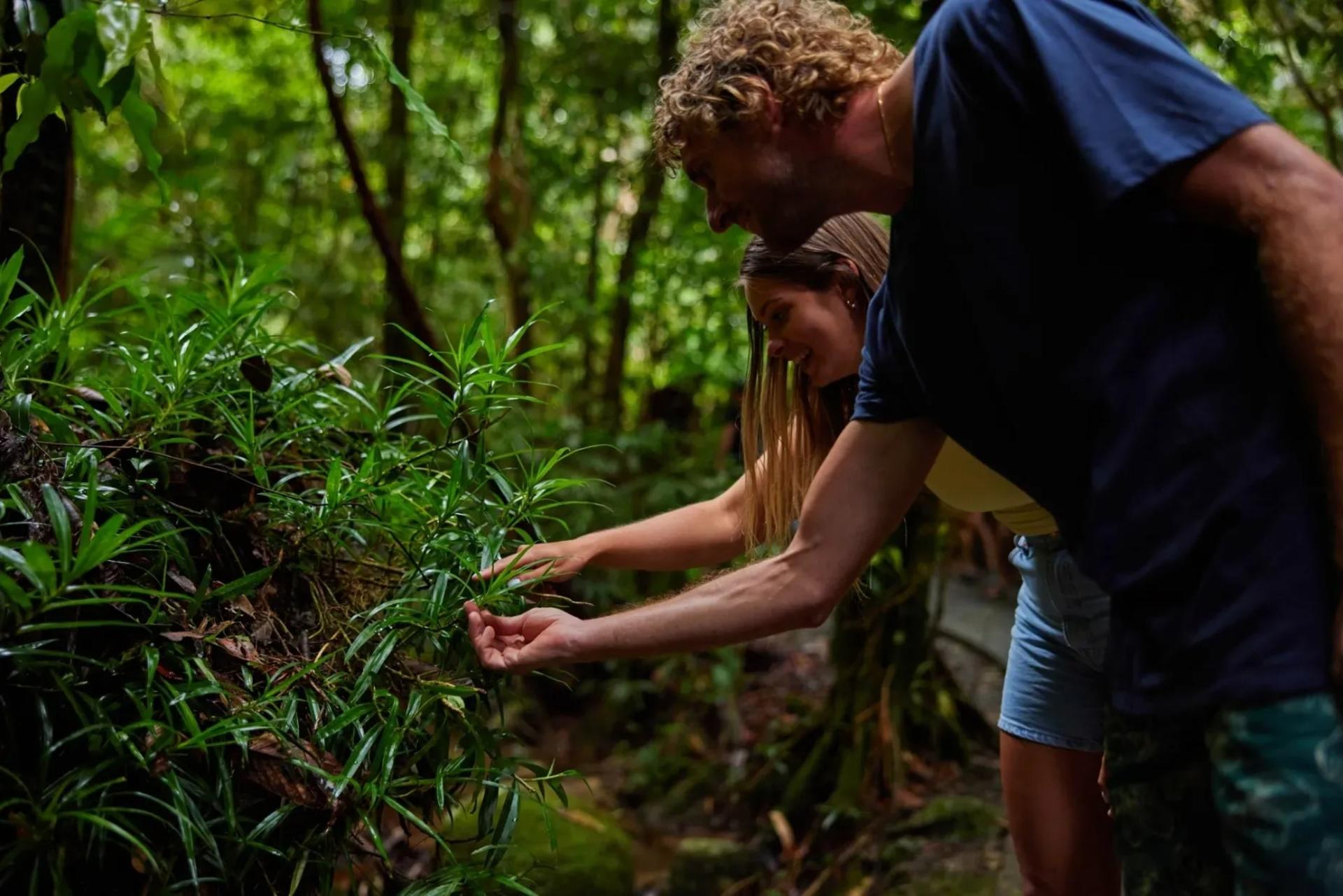 Explorer Tour- Cairns Waterfalls - Thumbnail 9