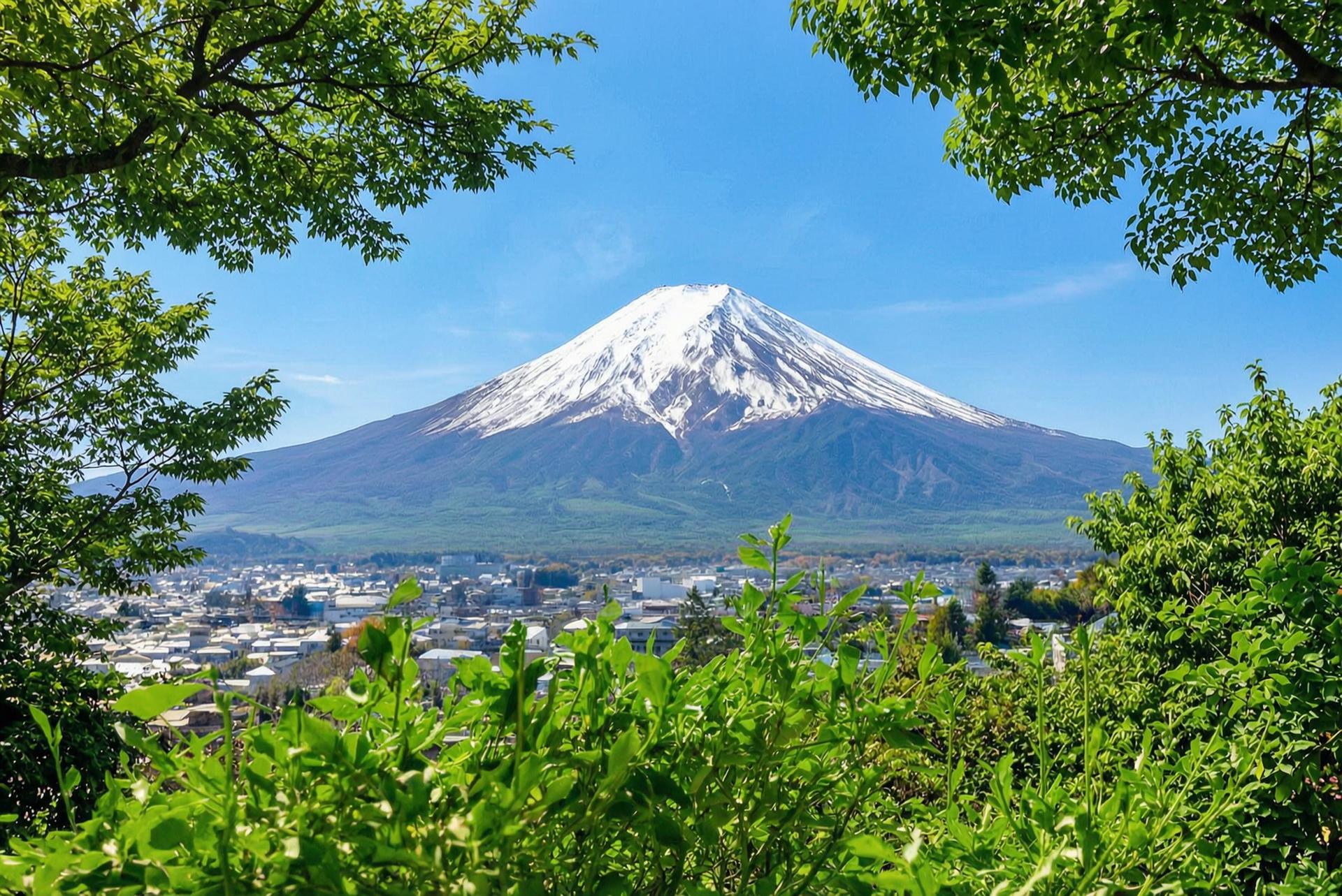 Mount Fuji Brilliant Scenery One-Day Tour (Departing from Tokyo) - Thumbnail 49