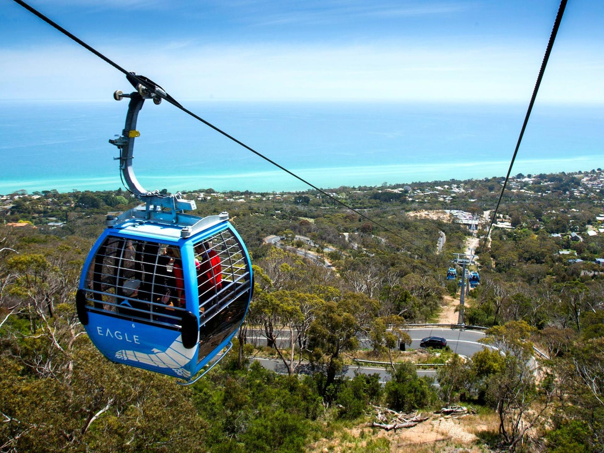 Mornington Peninsula Boutique Wine and Lunch Small Group Tour - Thumbnail 9