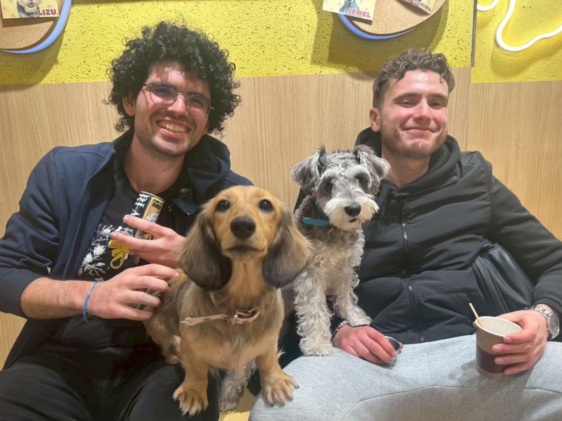 Play with Dogs at Dog Cafe Rio Akihabara [Dog Cafe Rio Akihabara] - Thumbnail 5