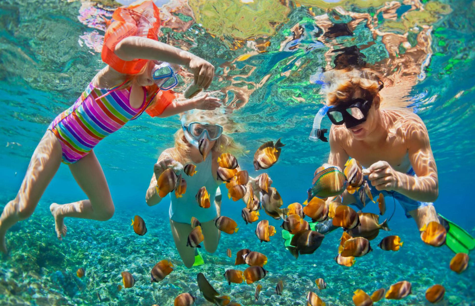 Half-Day Snorkeling Adventure At Mun Island with BBQ Lunch