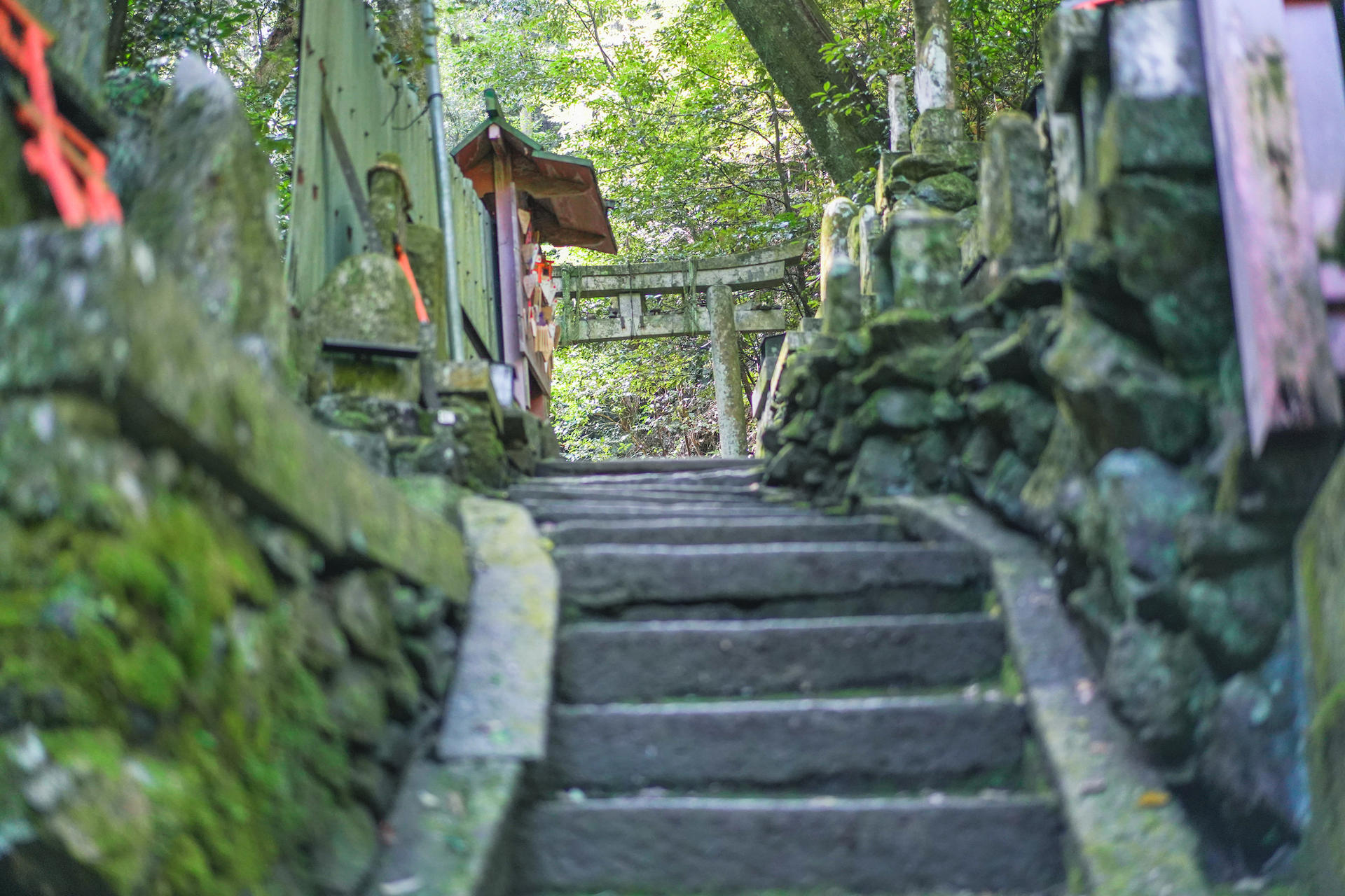 Fushimi Inari Hidden Hiking Tour : Escape the Crowds - Thumbnail 21