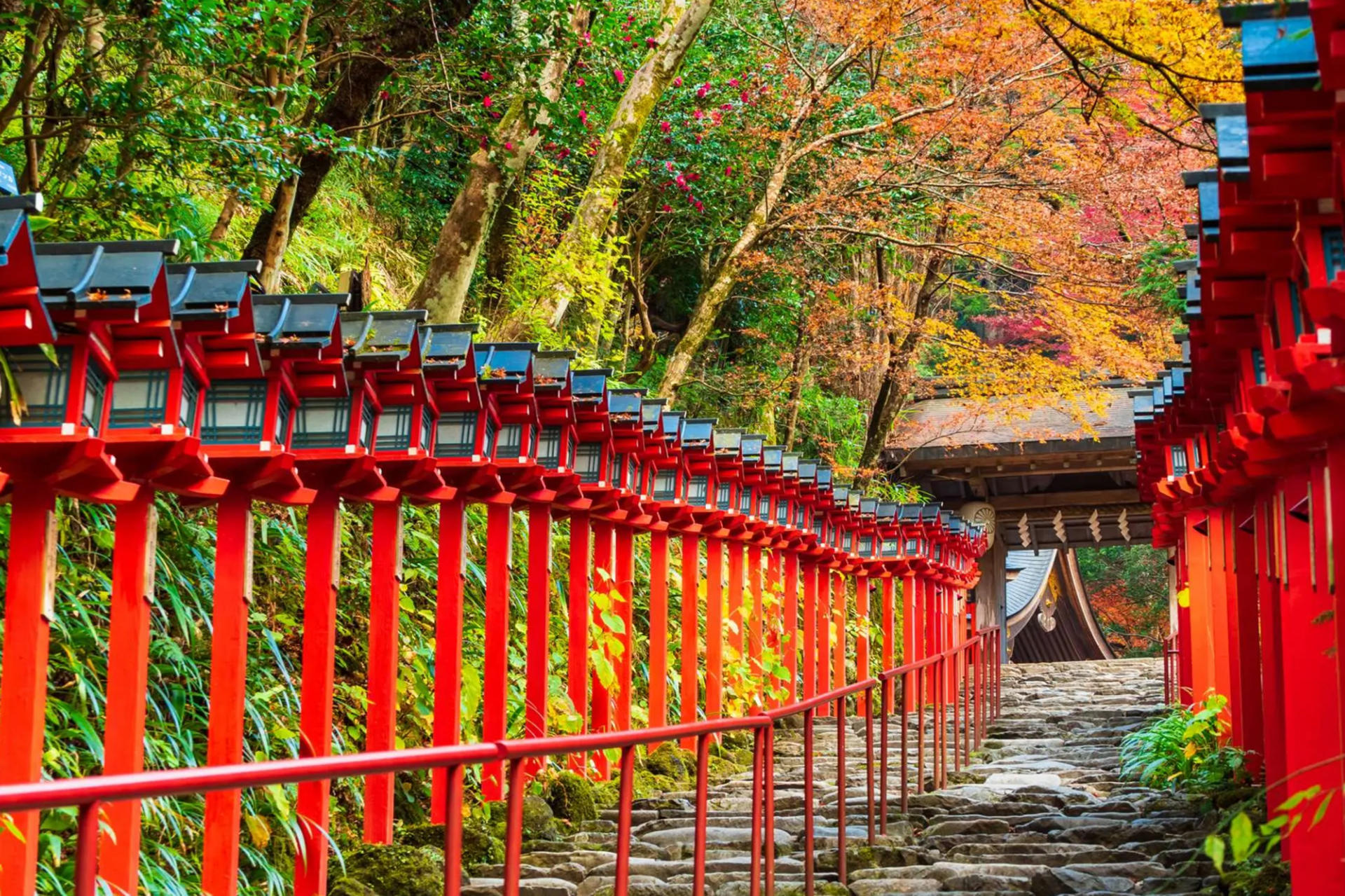 Kyoto: Kifune Shrine & Sanzen-in Temple, Arashiyama Sightseeing Train Experience/Eizan Electric Railway One-Day Trip (Departing from Osaka/Kyoto) - Thumbnail 5