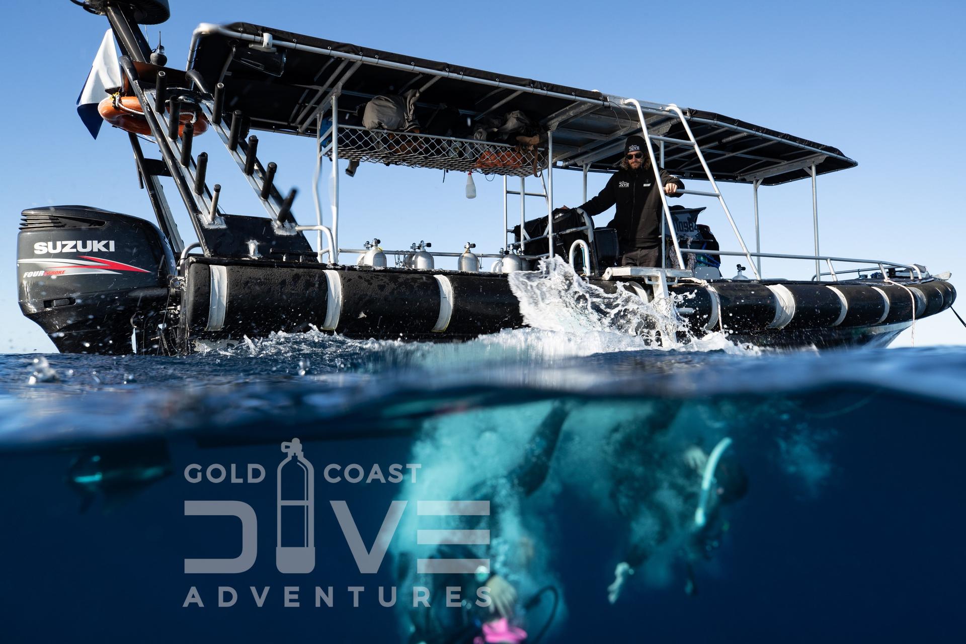 Wonder Reef Diving Experience in Gold Coast - Thumbnail 5