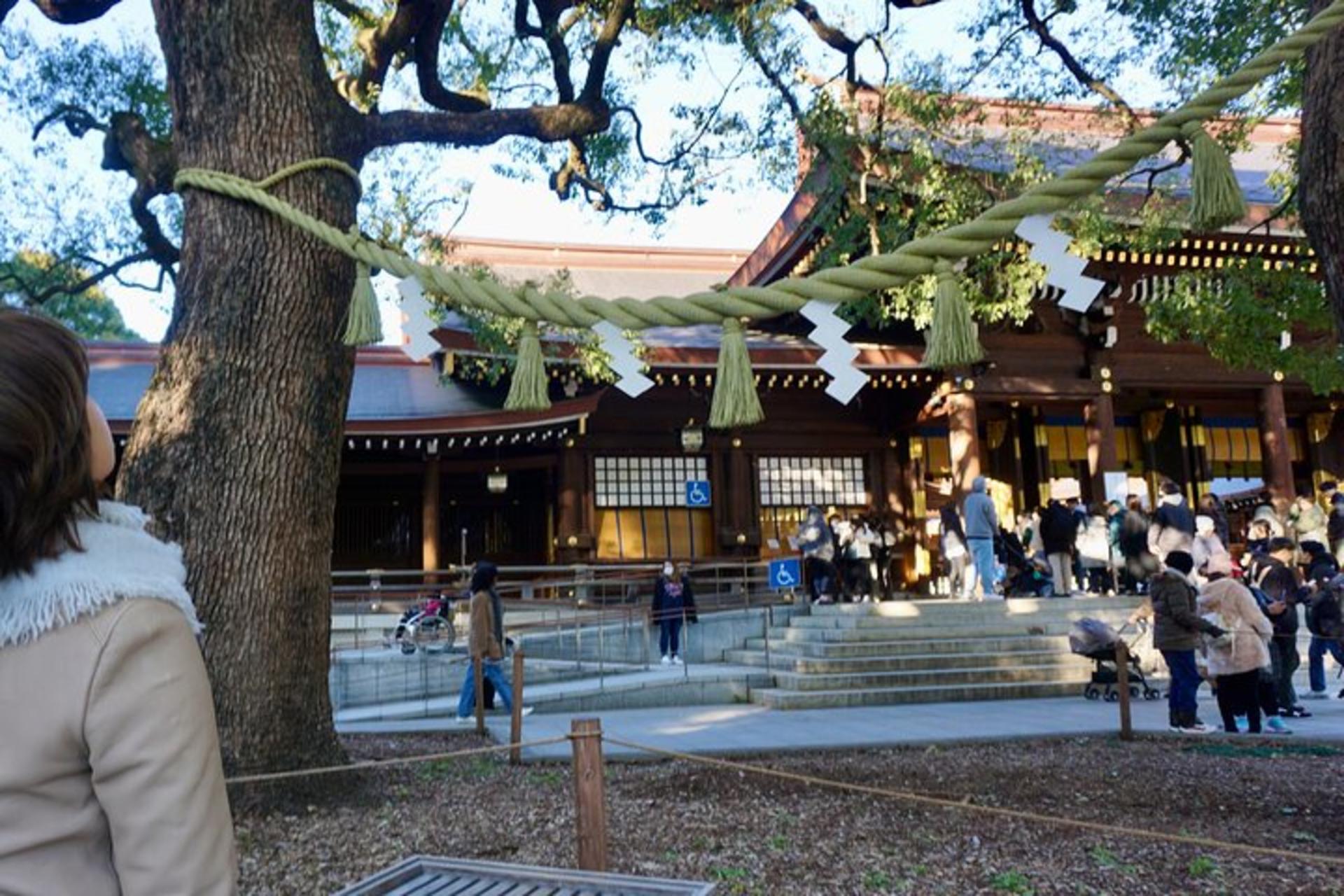 Tokyo Walking Tour From Meiji Shrine in Harajuku to Shibuya Crossing - Thumbnail 6