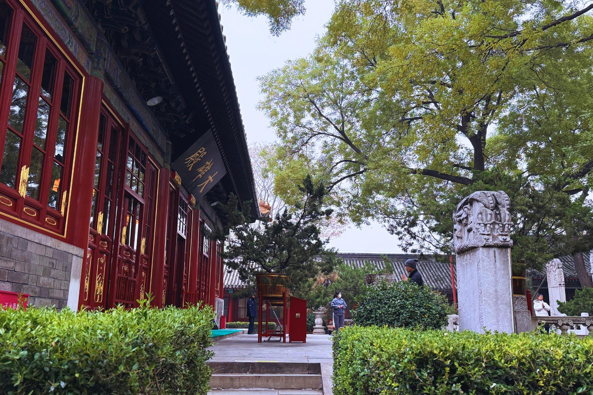 Beijing Hutong Museum Cluster Tour—Culture, Temples & Life - Thumbnail 15