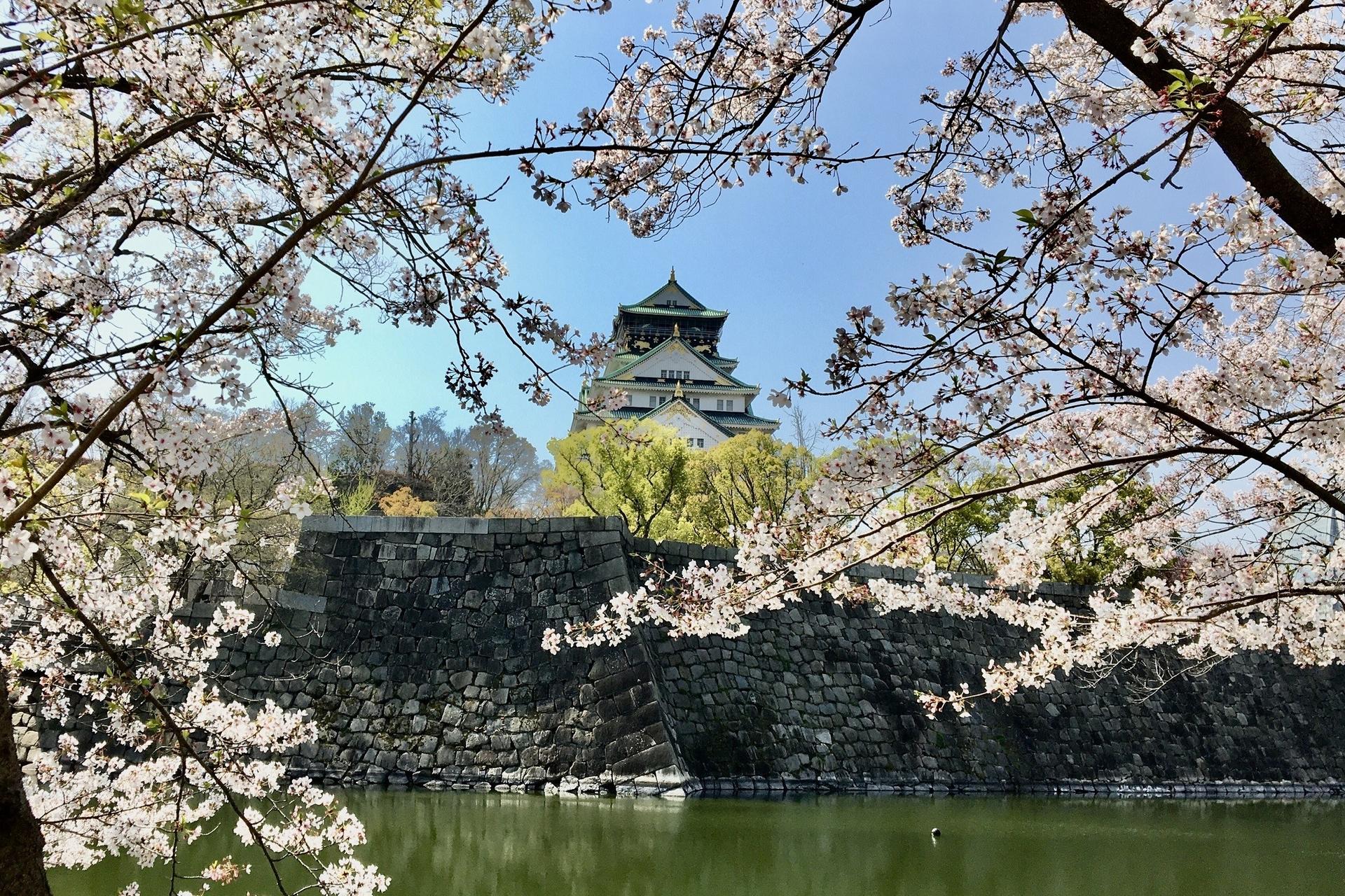 Osaka City, Sumiyoshi Taisha, Shitenno-ji, & Osaka Castle Day Tour - Thumbnail 5