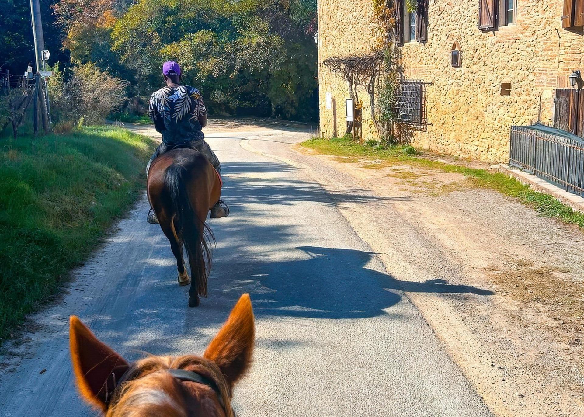 Tuscan Chianti Hills Horseback Riding Tour - Thumbnail 3