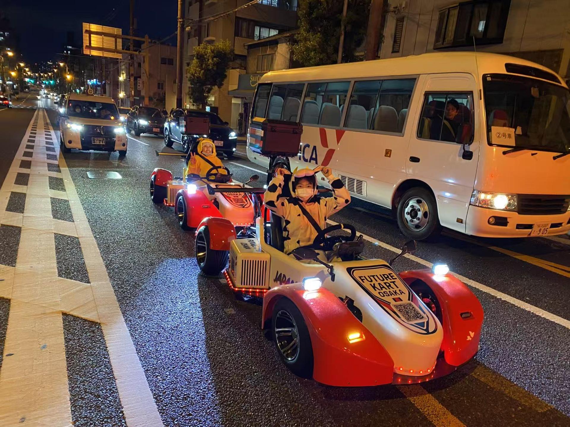 Osaka Electric Go-Kart Scenic City Tour for Sightseeing Lovers - Thumbnail 35