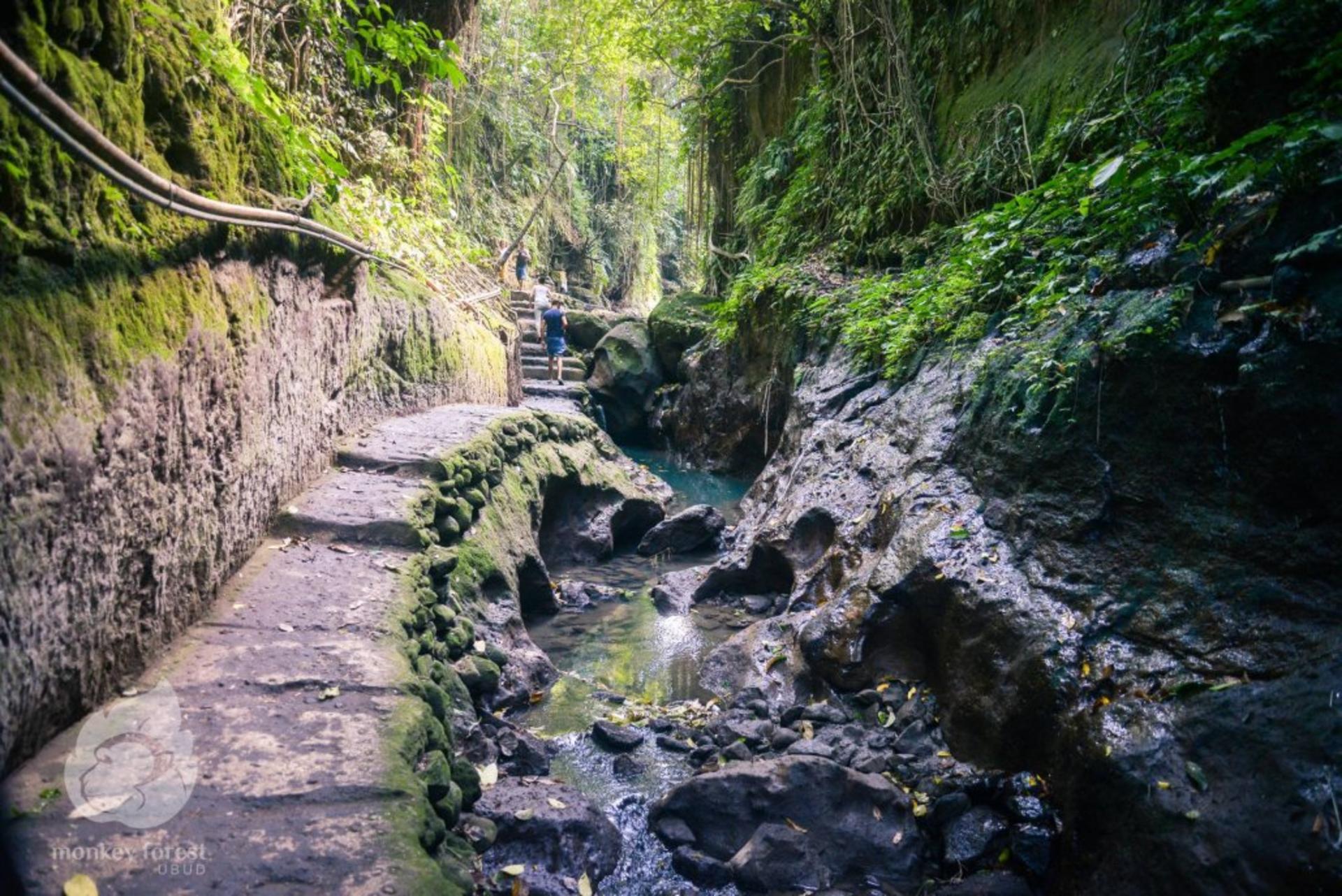 Sacred Monkey Forest Ubud Ticket - Thumbnail 8