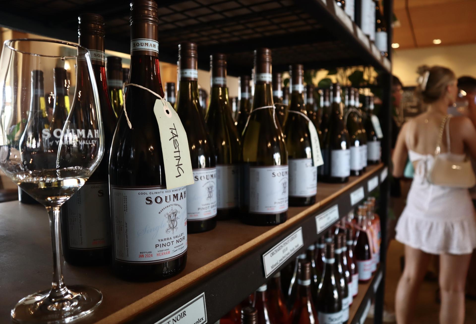 Yarra Valley Small-Group Day Tour with Redwoods, Wine, & Wildlife - Thumbnail 22