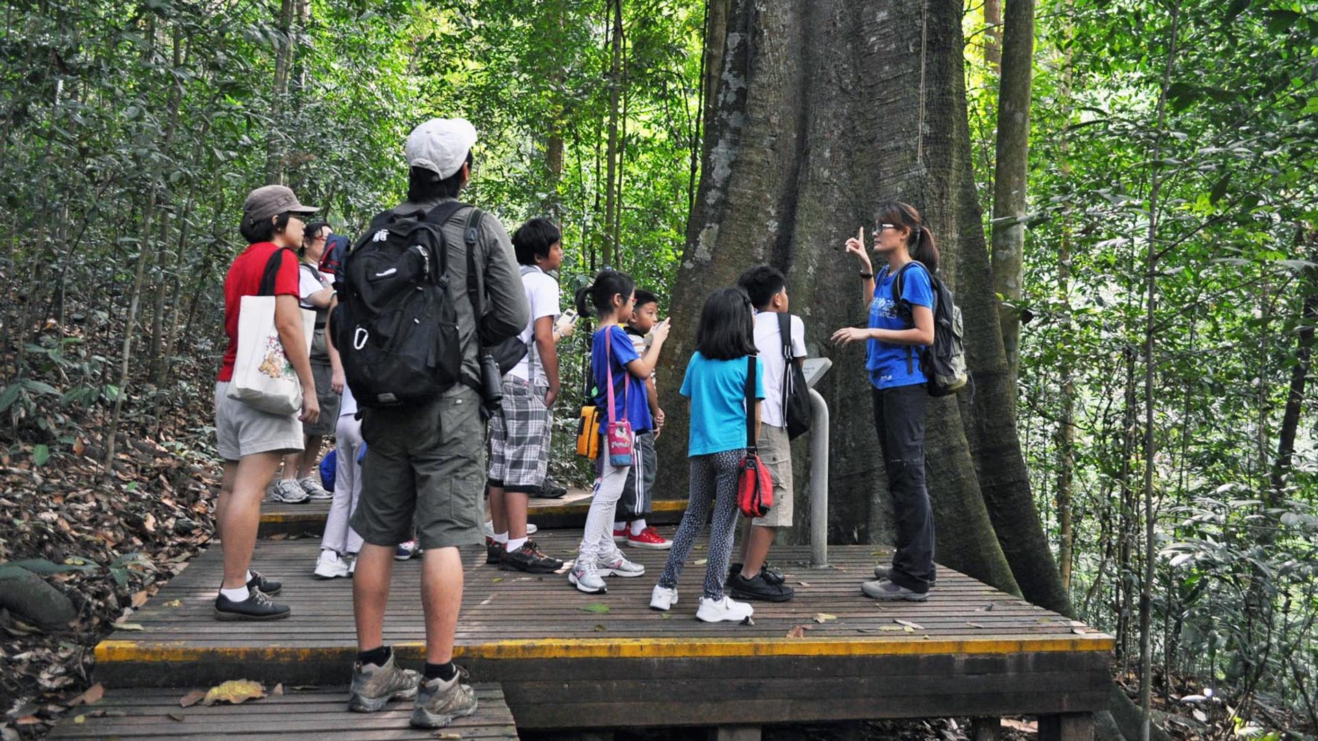 Lee Kong Chian Natural History Museum Ticket in Singapore - Thumbnail 6