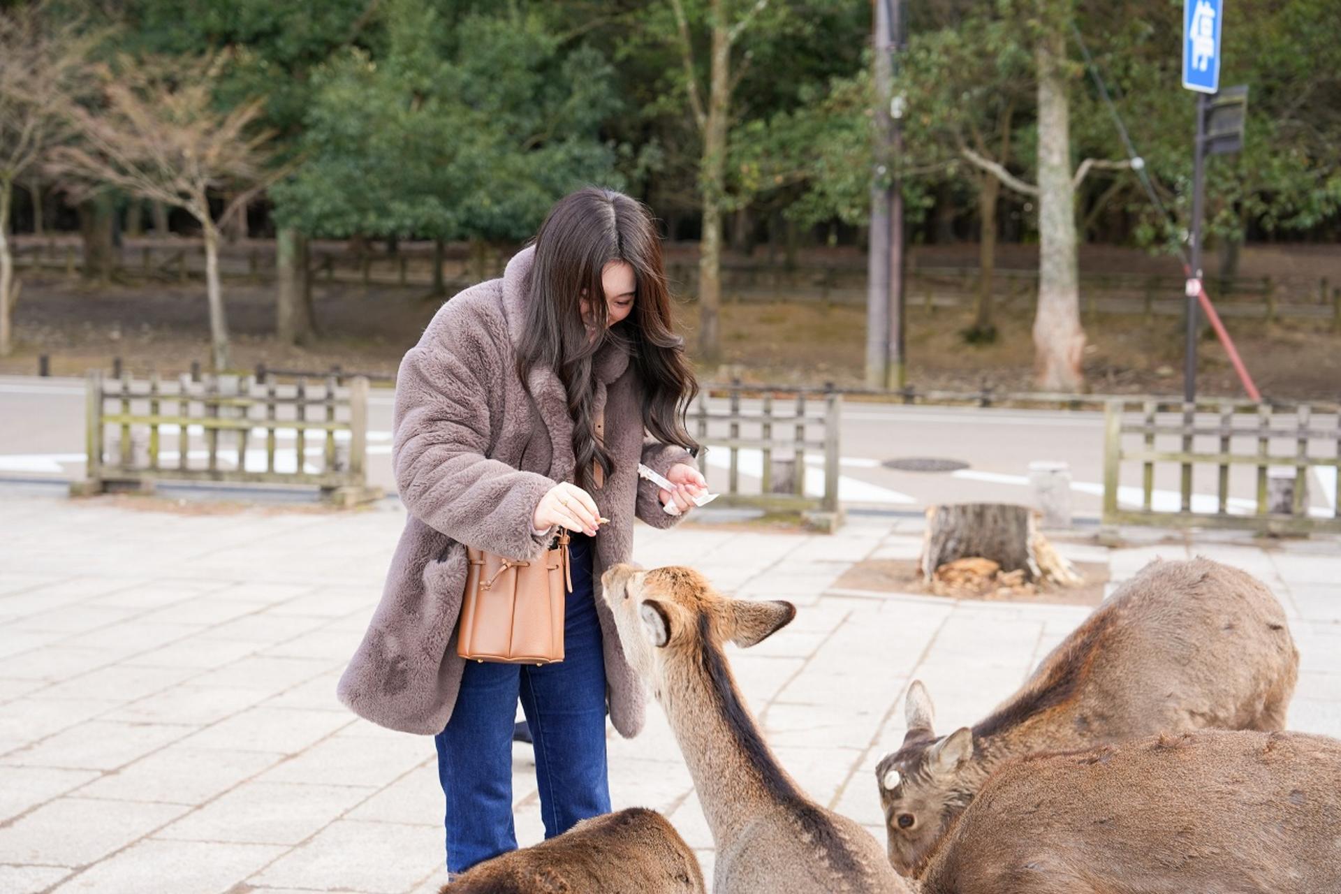 1-Day Nara & Osaka Private Highlights Day Tour  - Thumbnail 19