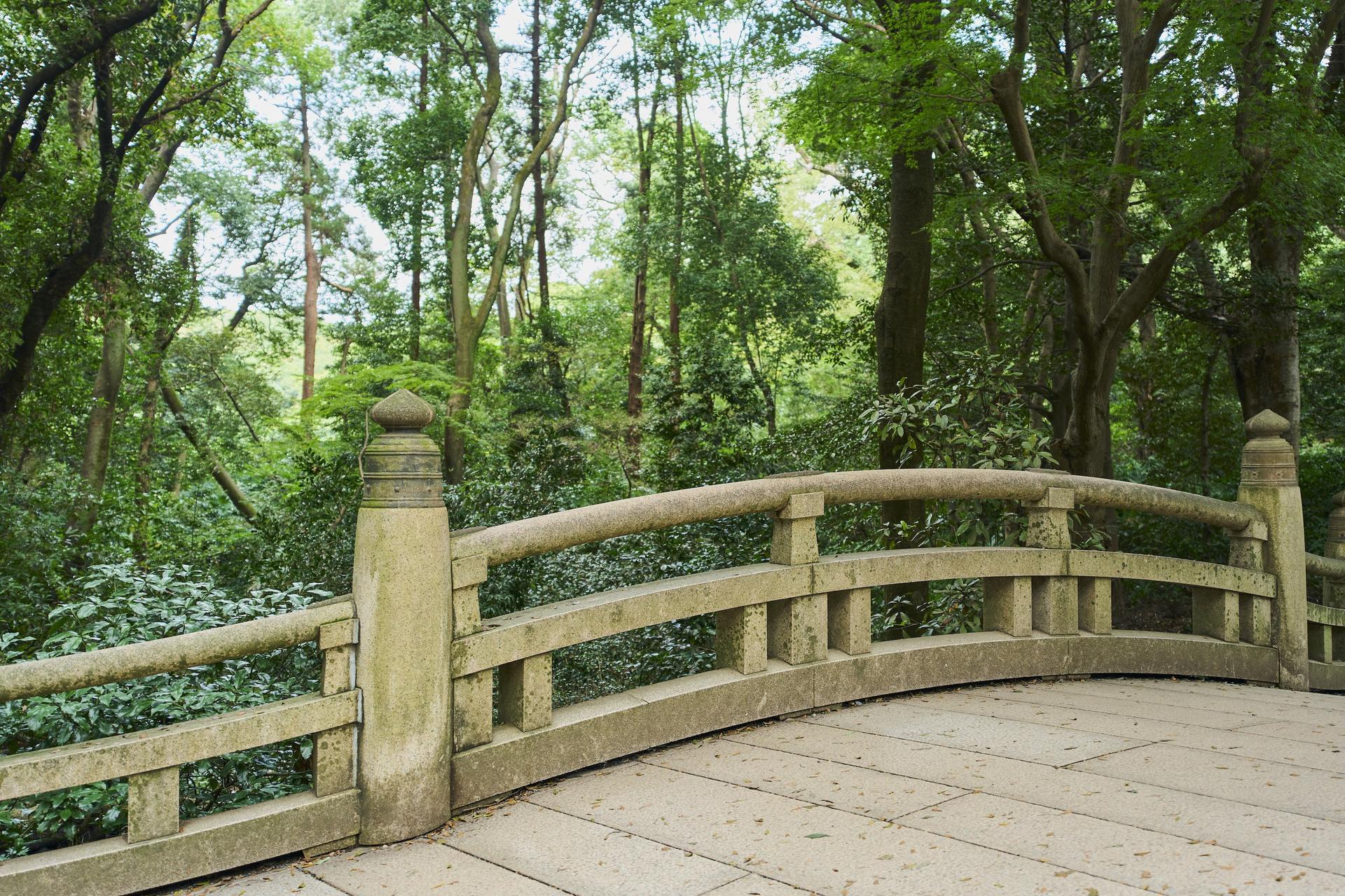 Tokyo: Meiji Shrine Walking Tour - Shintoism & Imperial System - Thumbnail 27