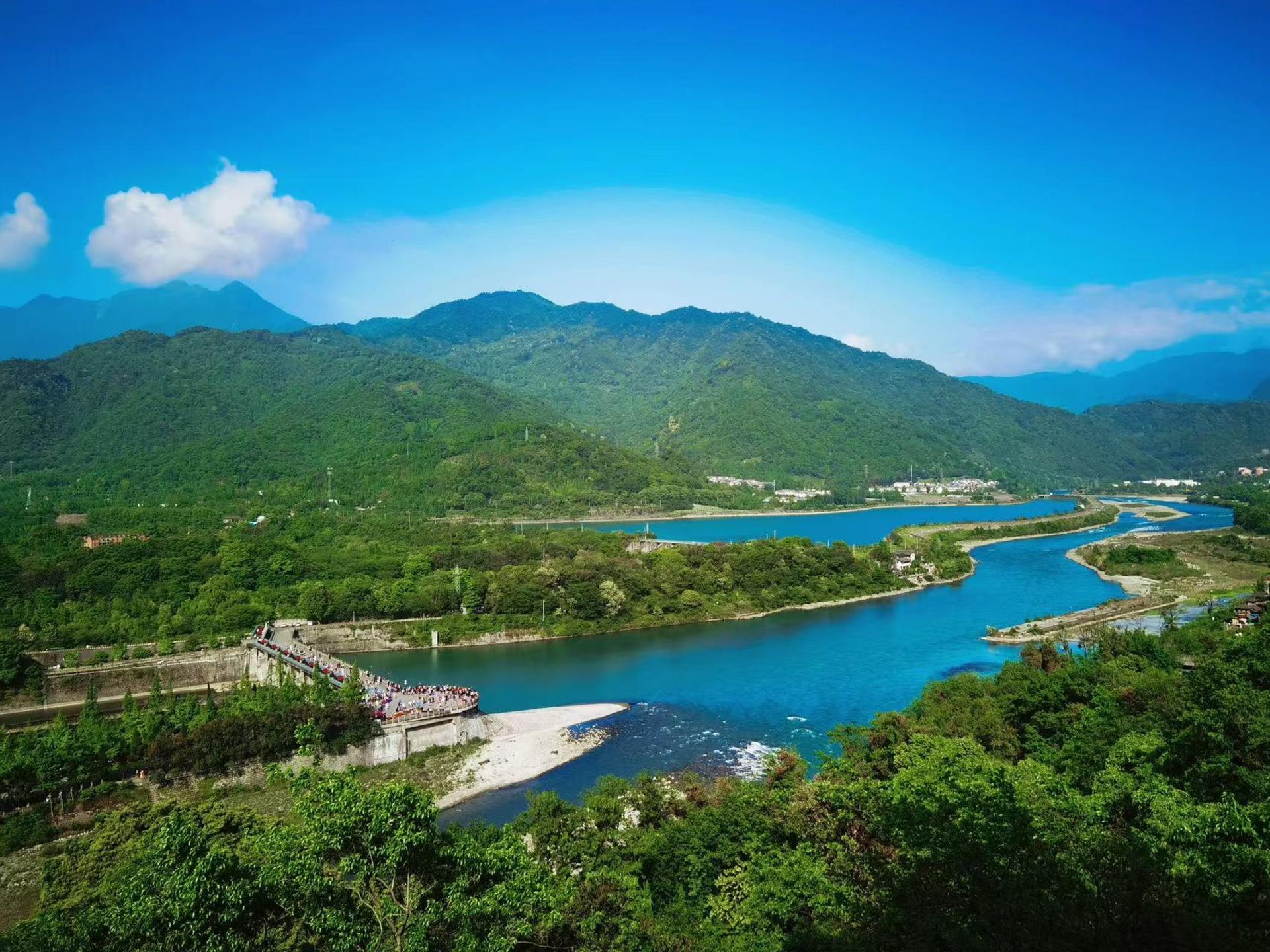 Panda Base & Dujiangyan Full-Day Guided Tour - Thumbnail 6