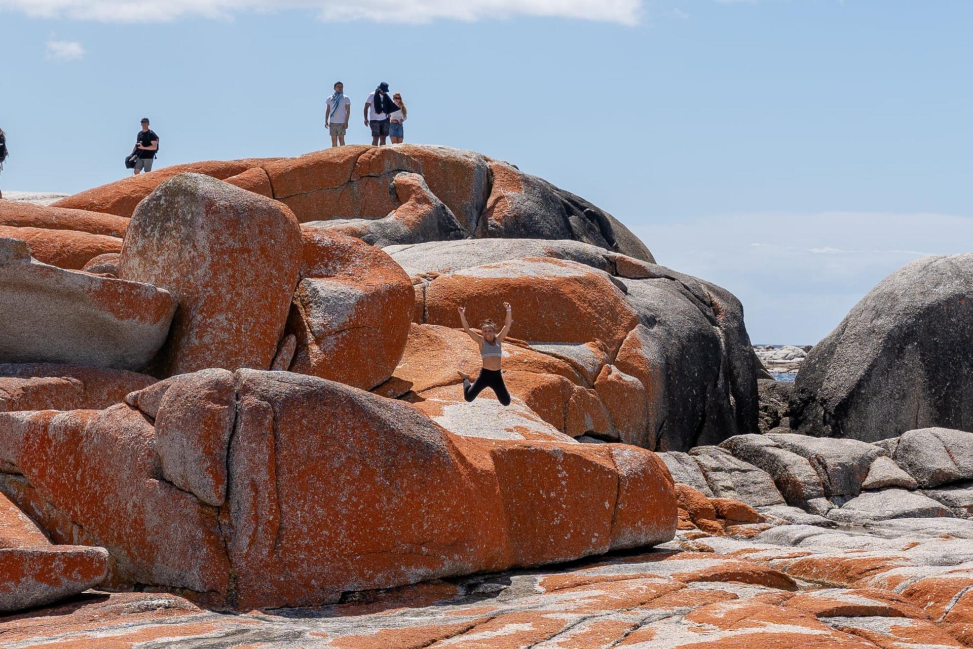 5D4N Famous 5 Tasmania Tour - Thumbnail 13