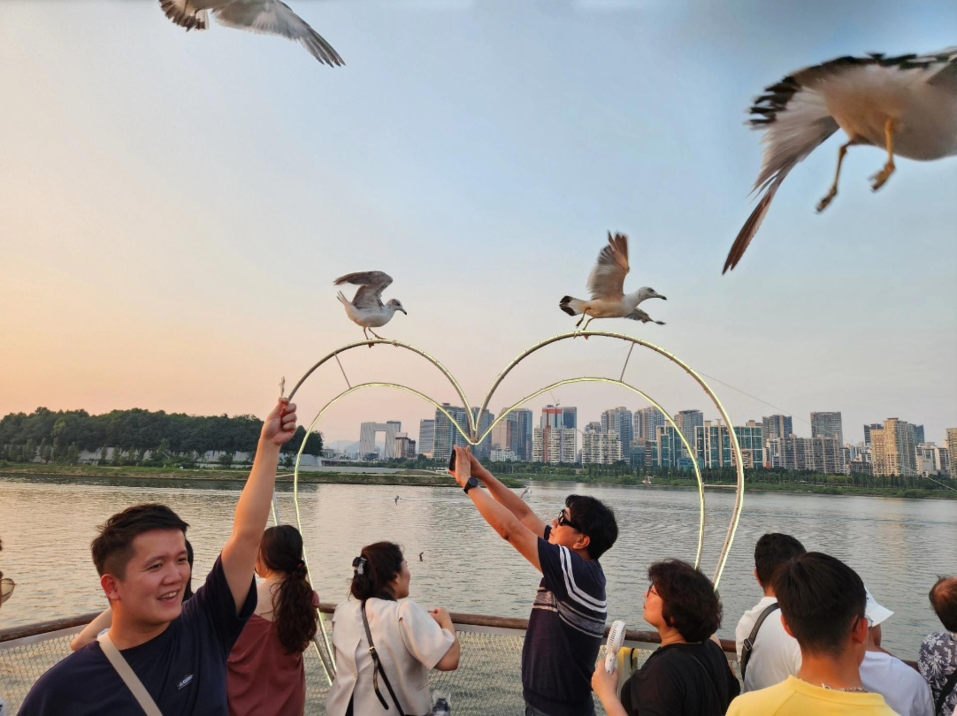 Seoul, Busan and Gyeongju Private 5D4N Tour from Seoul - Thumbnail 9
