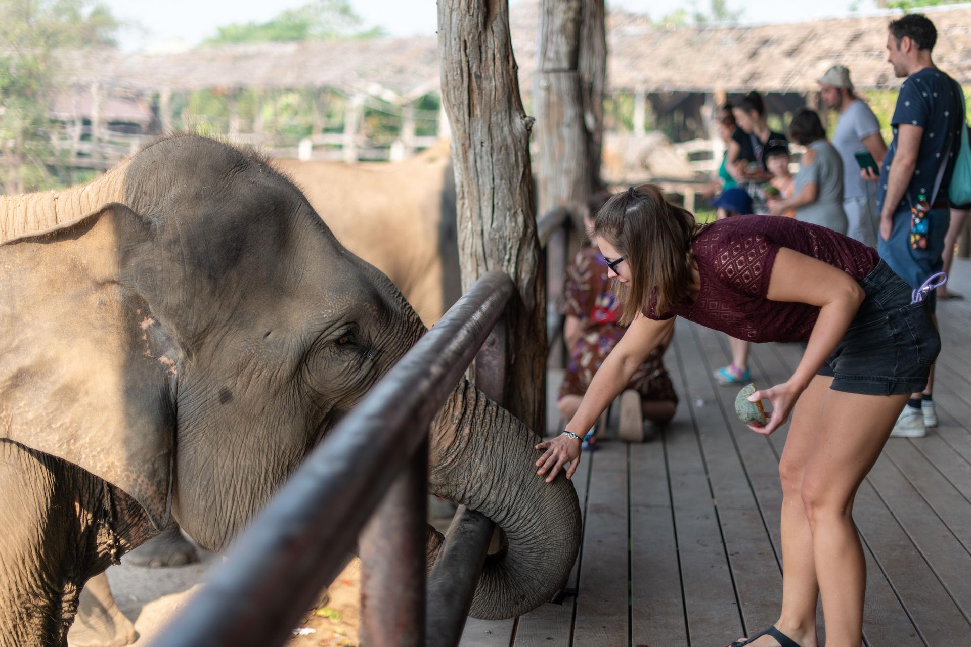 Elephant Sanctuary & Erawan Waterfall Full Day Tour from Bangkok - Thumbnail 7