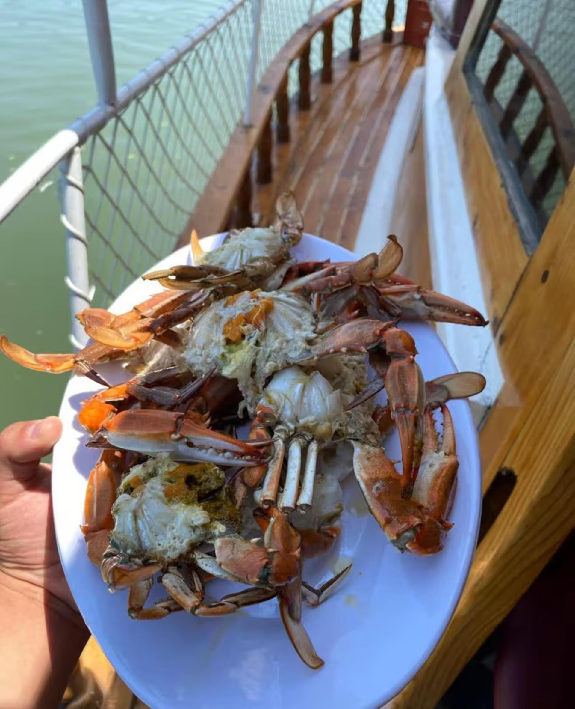 Antalya: Exclusive Mini Group Fishing Tour - Catch & Grill - Thumbnail 6