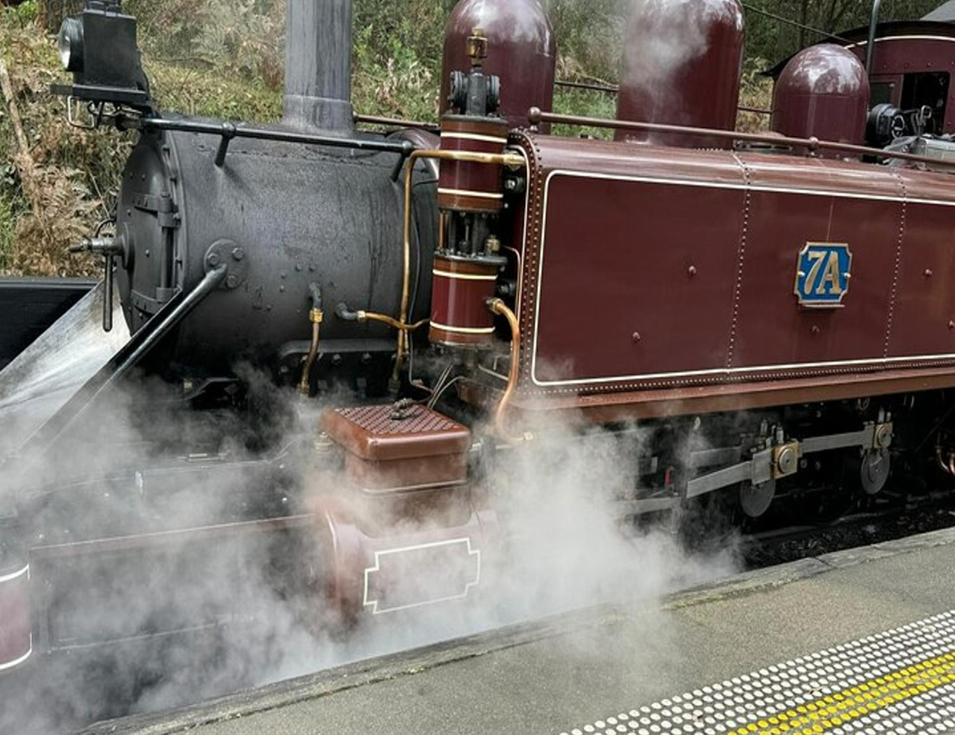 Melbourne Puffing Billy & Penguin Parade Private Tour - Thumbnail 24