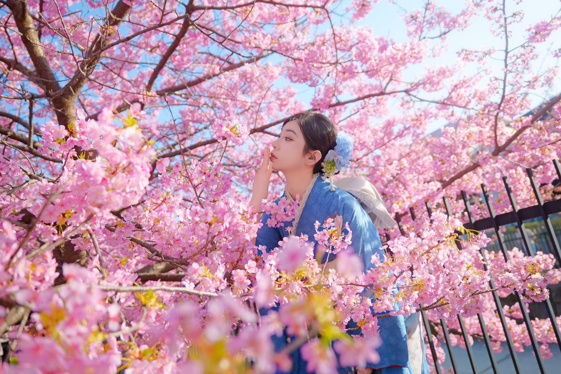 Travel Photography Experience in Kyoto  - Image 1