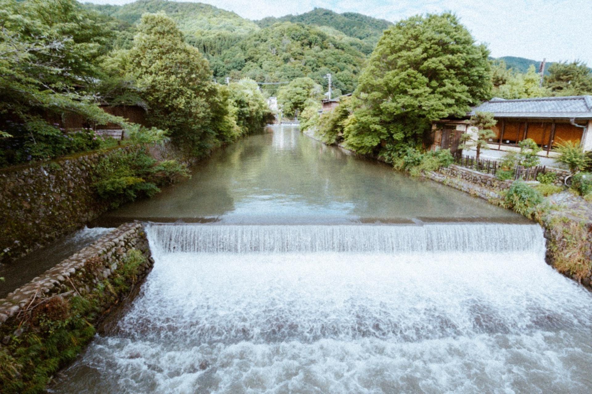 Kyoto Bus Tour: Fushimi, Kiyomizu, Kinkaku-ji & Arashiyama - Thumbnail 9