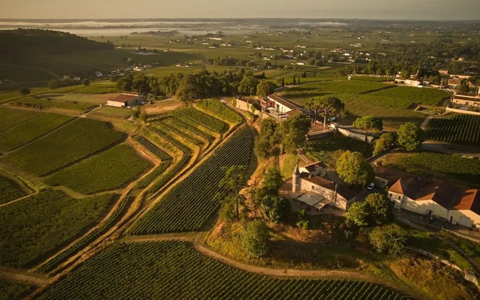Saint-Emilion Grands Crus Classes Winery Visit & Tasting Experience - Image 1
